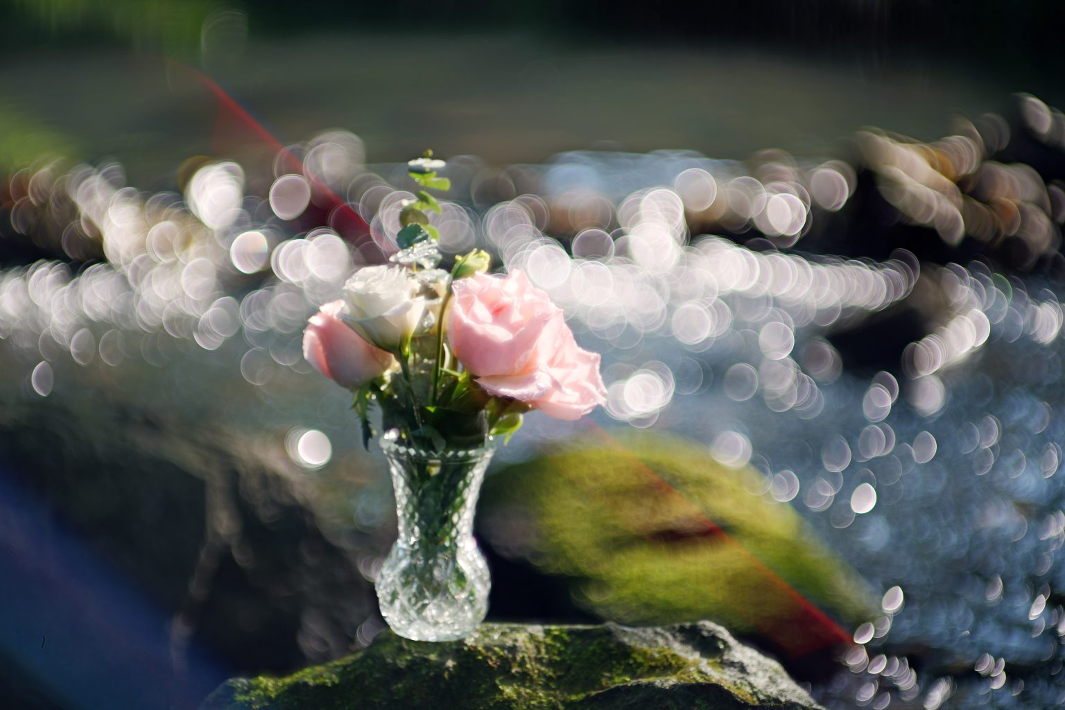 TTArtisan 85mm T2.1 Cine Soft-Bubble