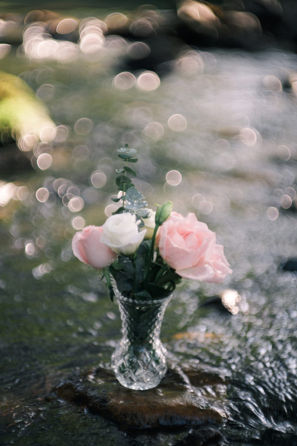 TTArtisan 85mm T2.1 Cine Soft-Bubble