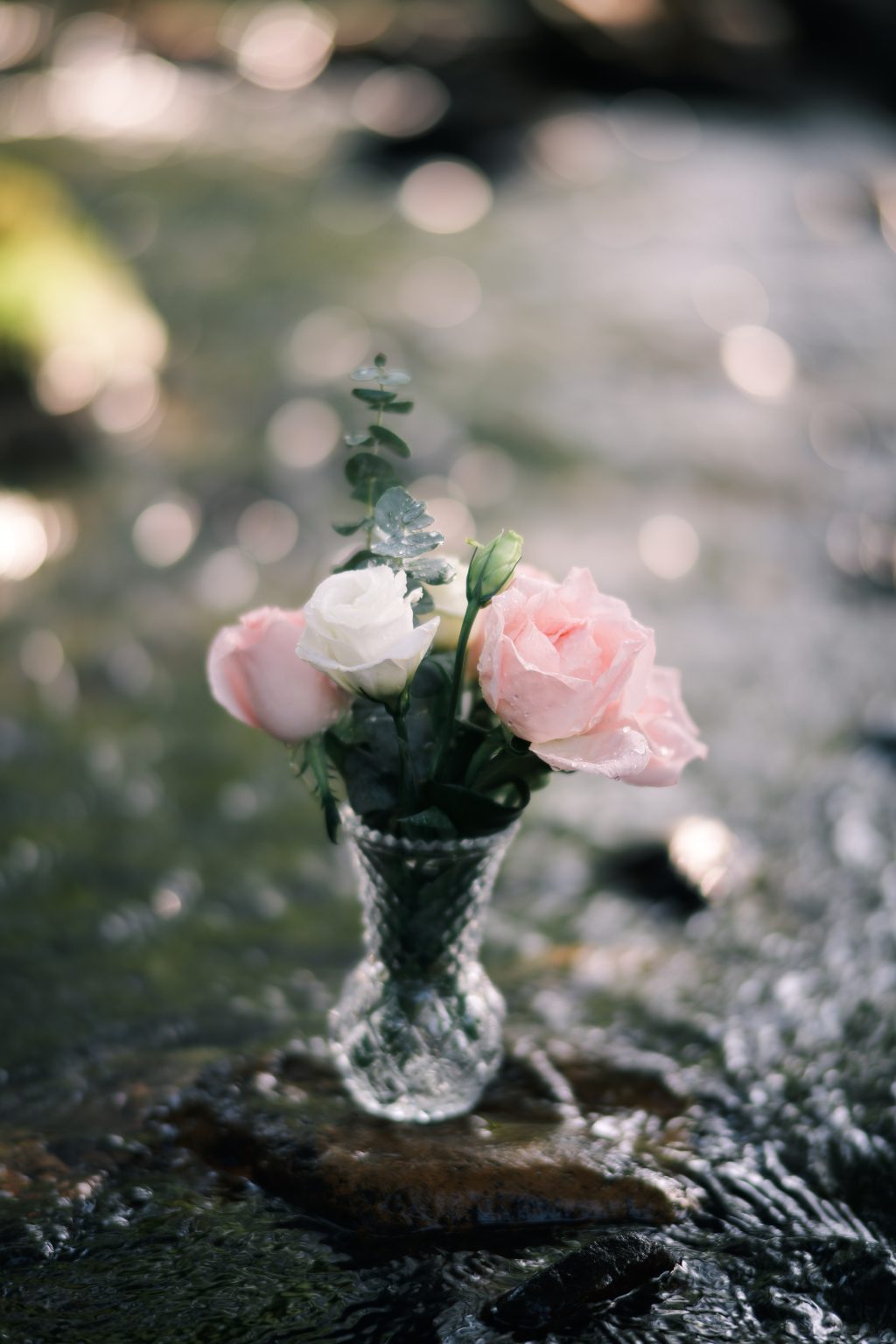 TTArtisan 85mm T2.1 Cine Soft-Bubble