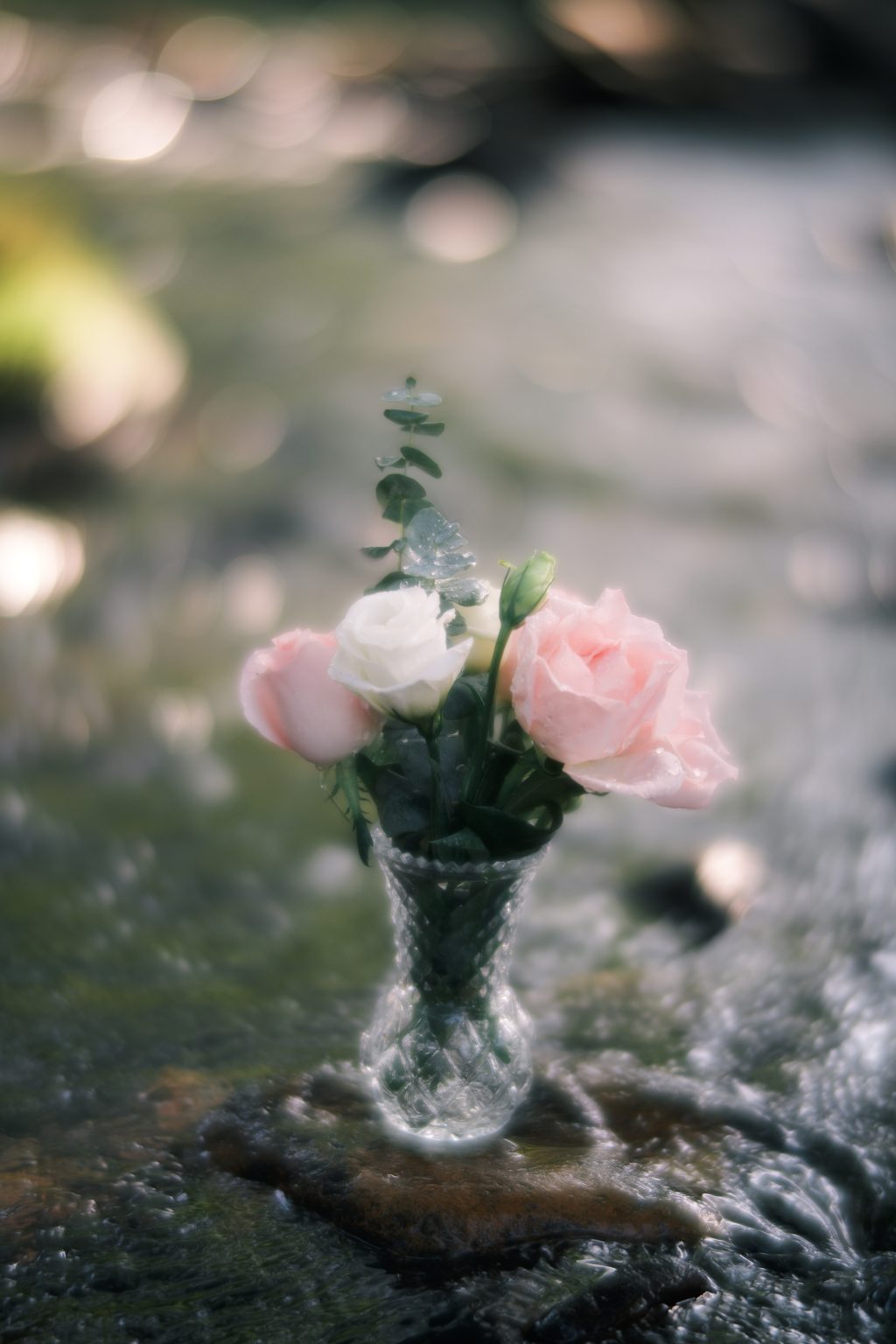 TTArtisan 85mm T2.1 Cine Soft-Bubble