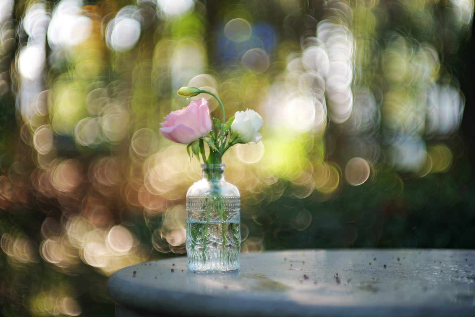 TTArtisan 85mm T2.1 Cine Soft-Bubble