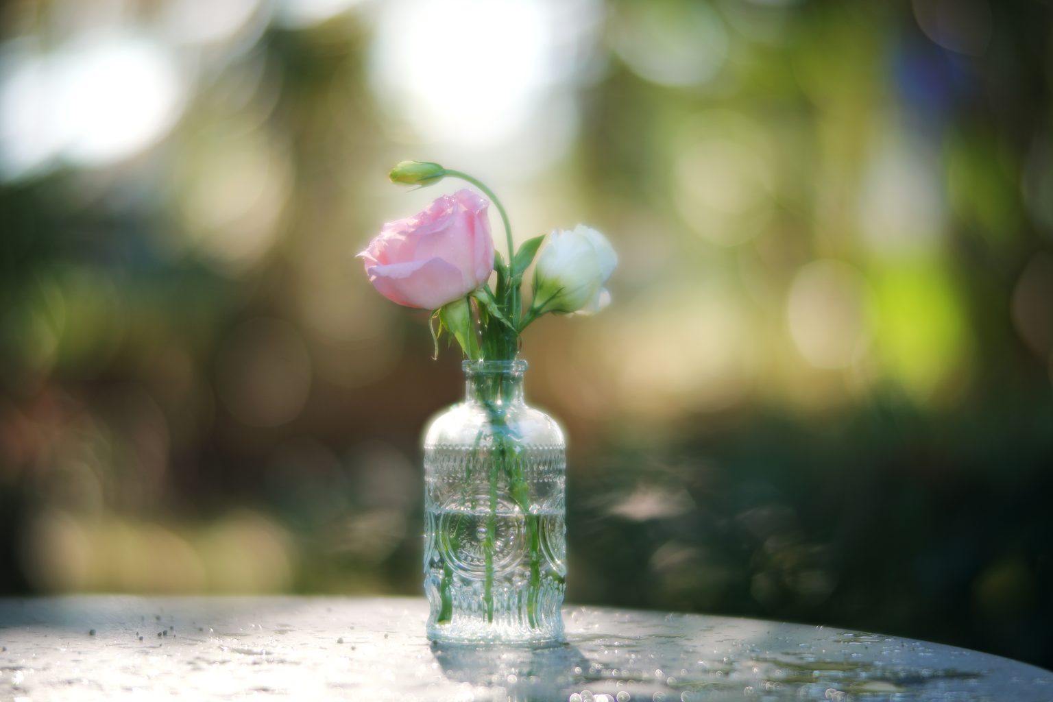 TTArtisan 85mm T2.1 Cine Soft-Bubble