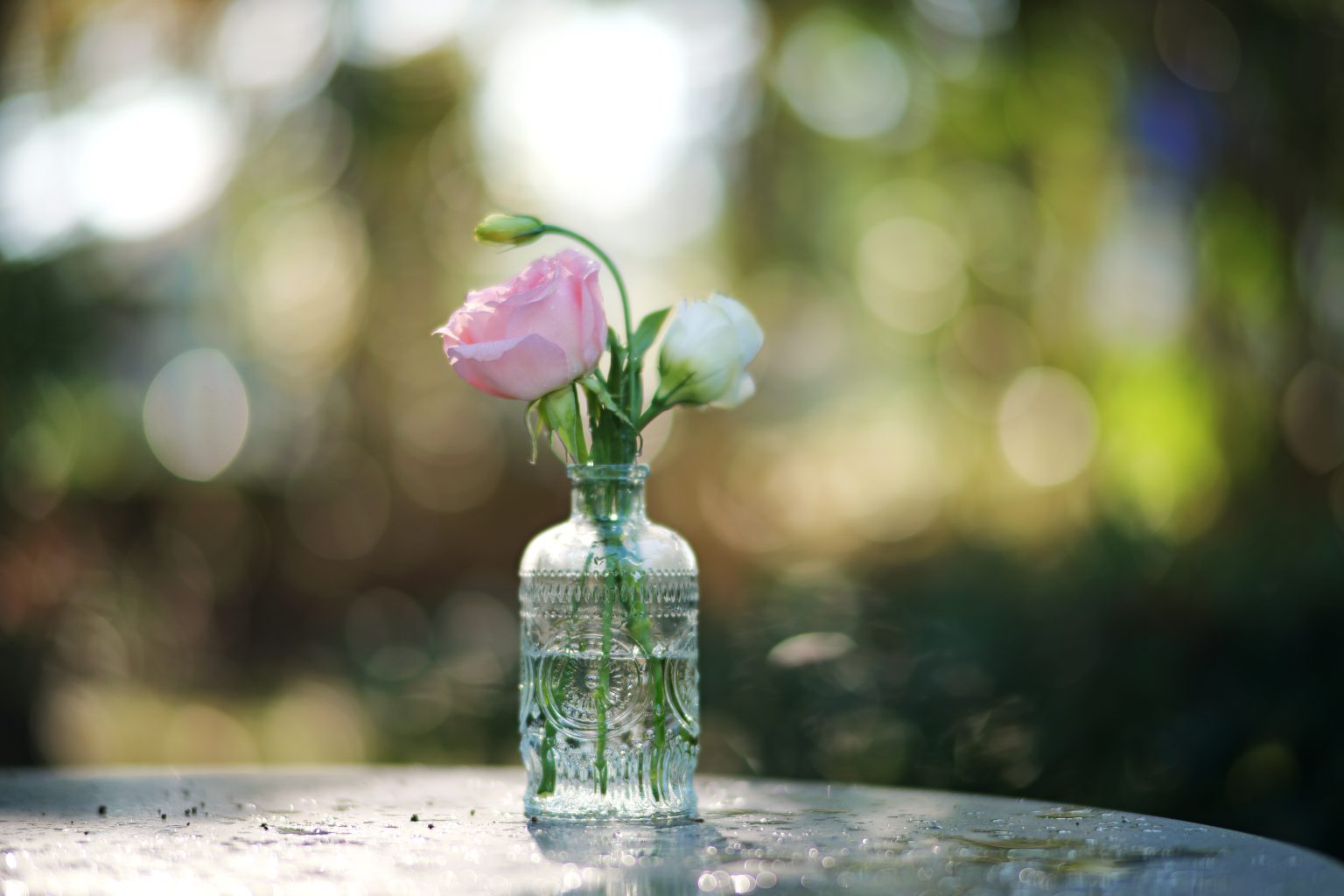 TTArtisan 85mm T2.1 Cine Soft-Bubble