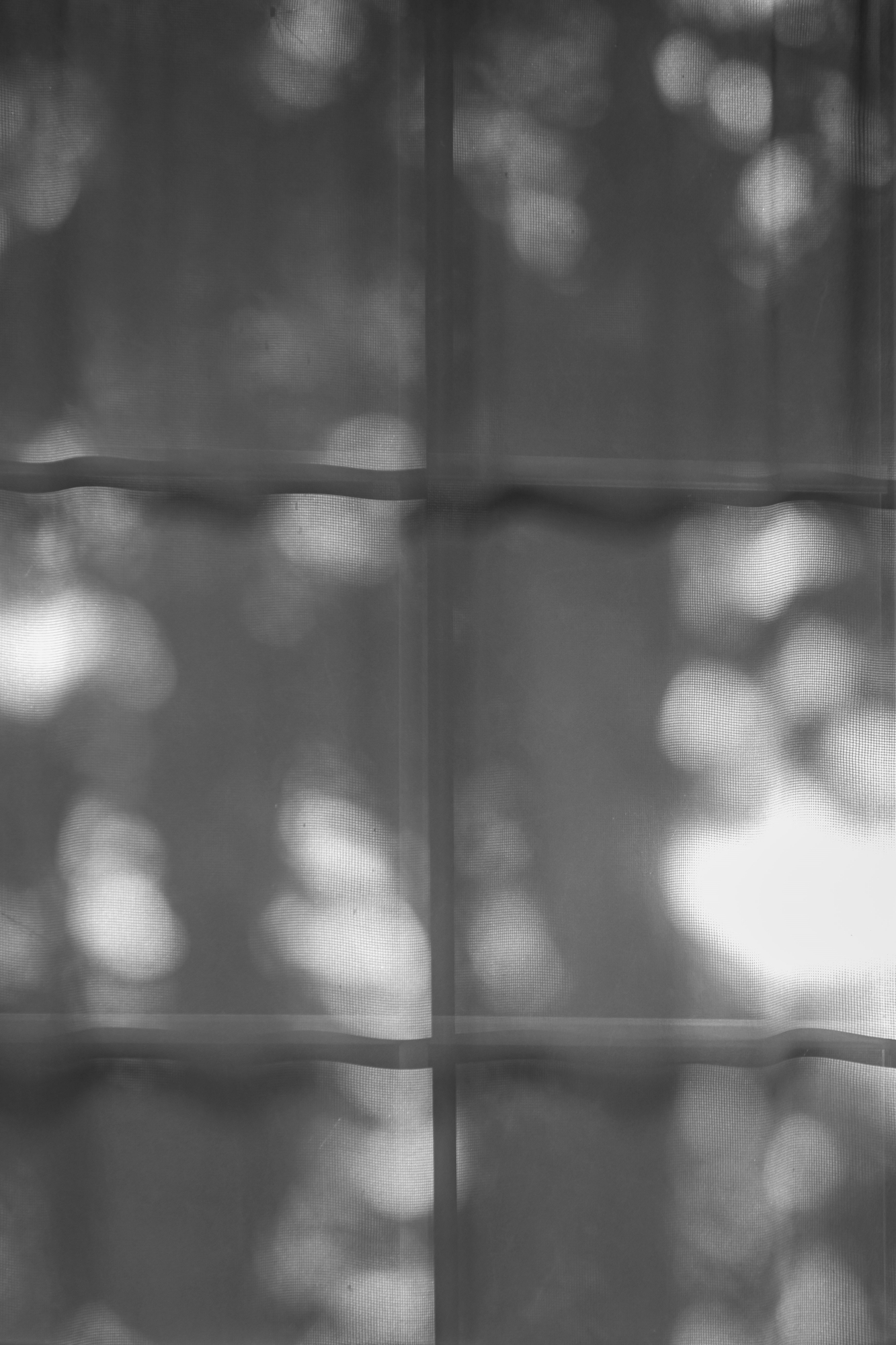 pentax-k3-iii-monochrome-test-interfoto 3