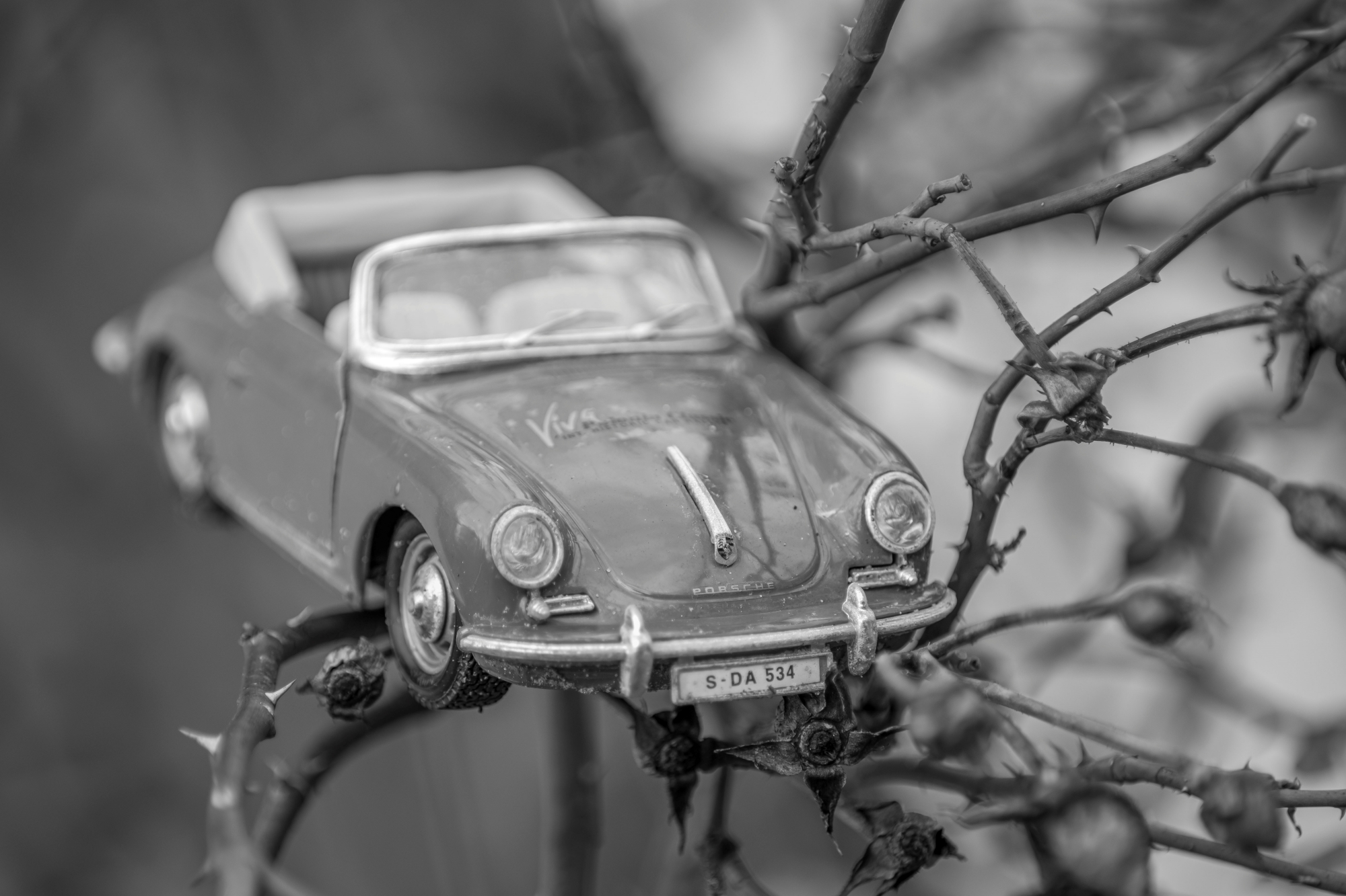 pentax-k3-iii-monochrome-test-interfoto