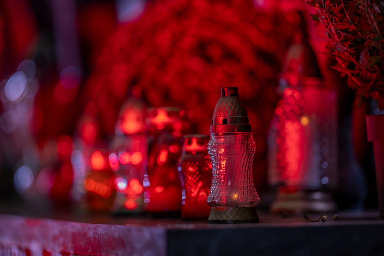 Sigma 135mm F1.4 DG ART Panasonic S1 p1170587 small