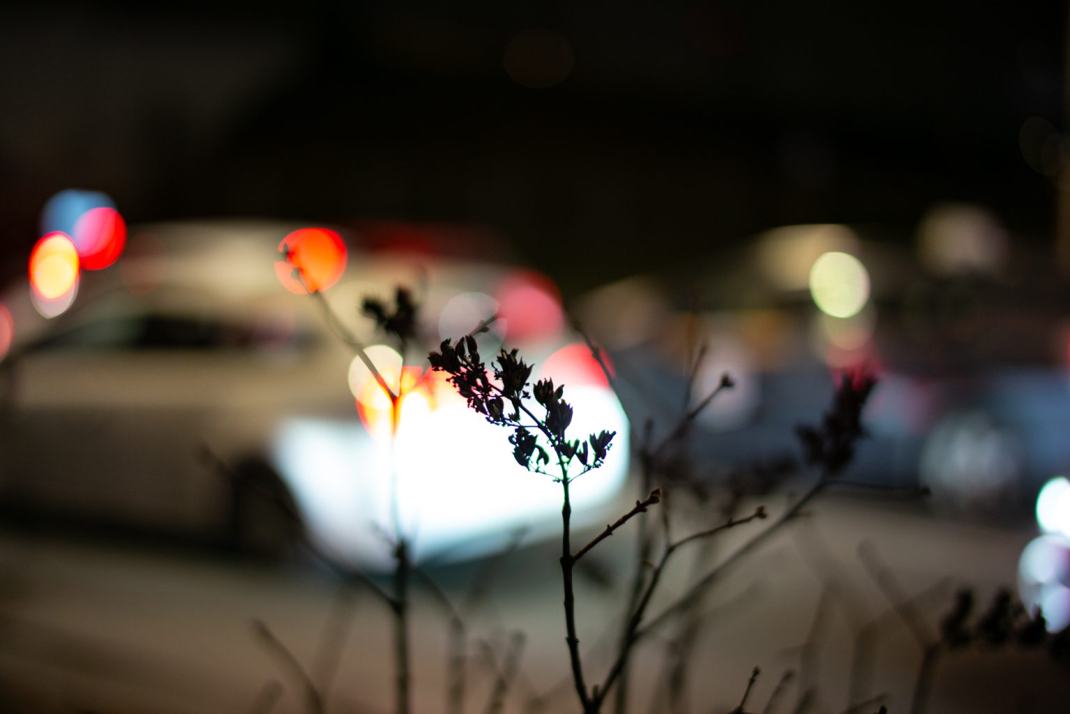 Galeria zdjęć przykładowych 2000px wykonana obiektywem TTArtisan 50mm F0.95 Leica M i aparatem Leica M Typ 240 Galeria zdjęć przykładowych 2000px wykonana obiektywem TTArtisan 50mm F0.95 Leica M i aparatem Leica M Typ 240