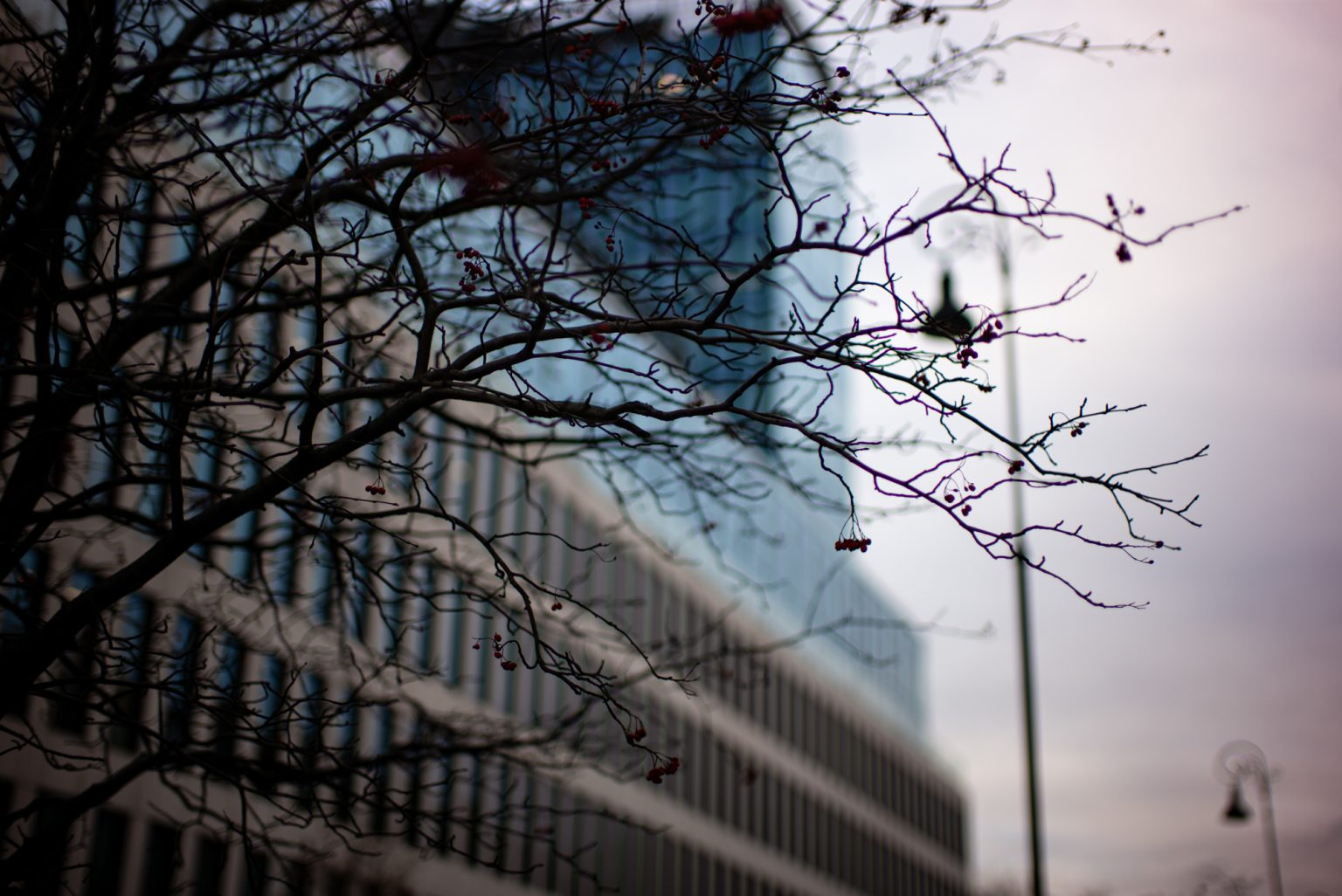 Galeria zdjęć przykładowych 2000px wykonana obiektywem TTArtisan 50mm F0.95 Leica M i aparatem Leica M Typ 240 Galeria zdjęć przykładowych 2000px wykonana obiektywem TTArtisan 50mm F0.95 Leica M i aparatem Leica M Typ 240