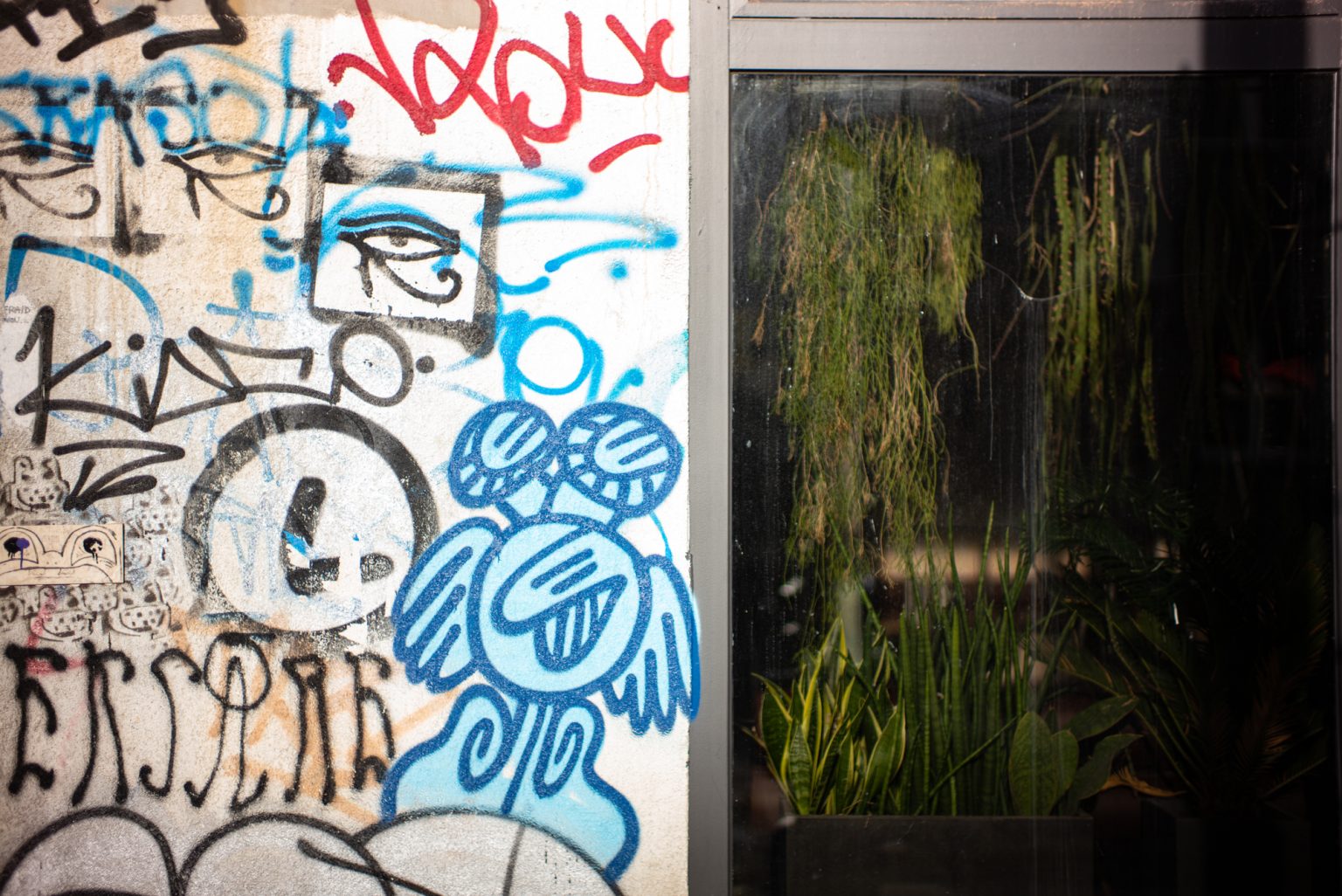 Galeria zdjęć przykładowych 2000px wykonana obiektywem TTArtisan 50mm F0.95 Leica M i aparatem Leica M Typ 240 Galeria zdjęć przykładowych 2000px wykonana obiektywem TTArtisan 50mm F0.95 Leica M i aparatem Leica M Typ 240