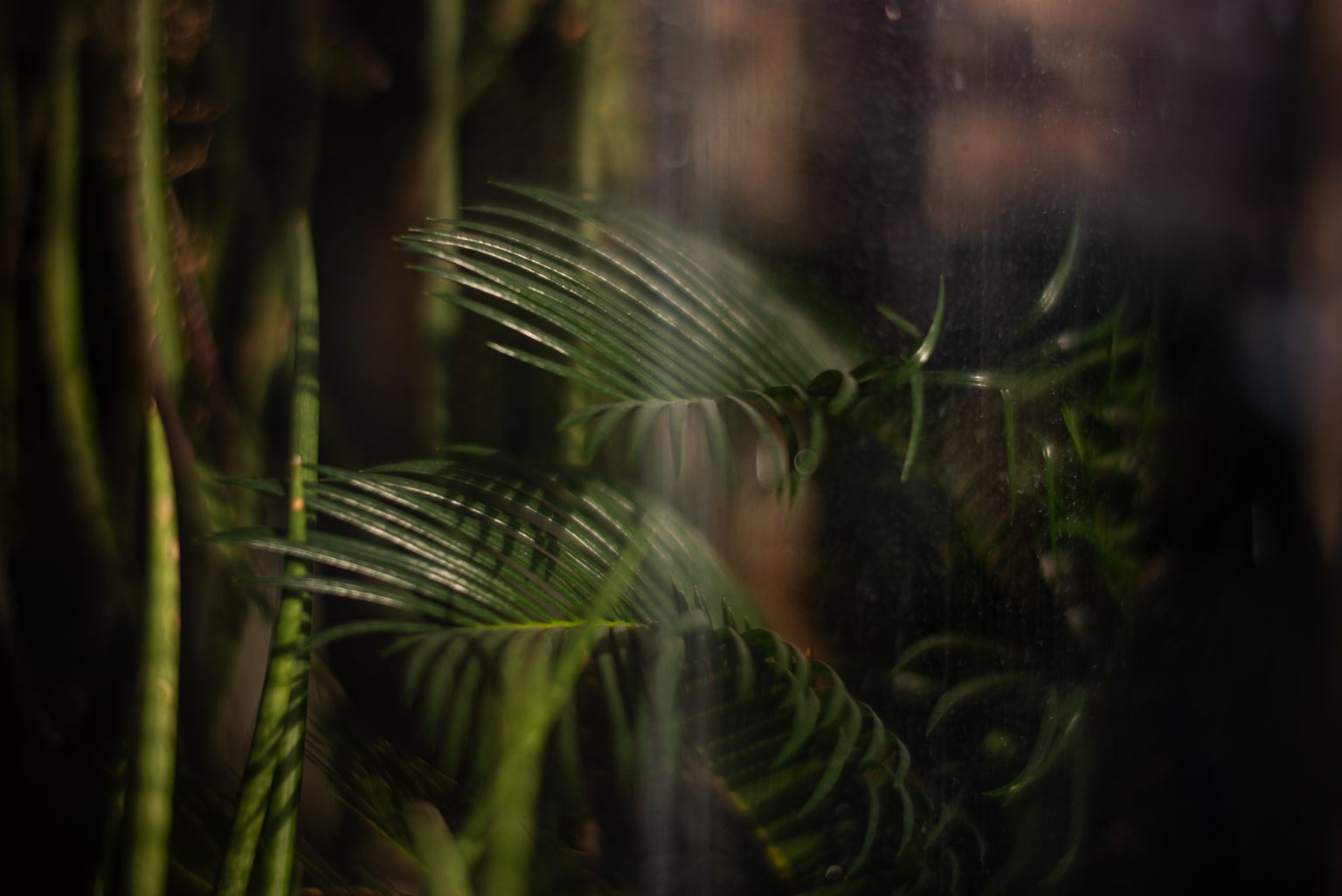 Galeria zdjęć przykładowych 2000px wykonana obiektywem TTArtisan 50mm F0.95 Leica M i aparatem Leica M Typ 240 Galeria zdjęć przykładowych 2000px wykonana obiektywem TTArtisan 50mm F0.95 Leica M i aparatem Leica M Typ 240