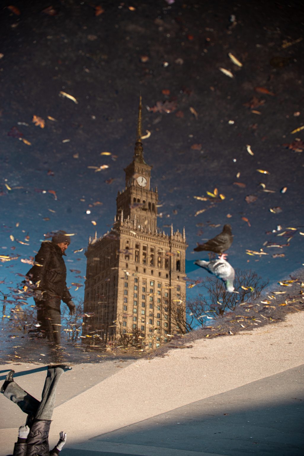 Galeria zdjęć przykładowych 2000px wykonana obiektywem TTArtisan 50mm F0.95 Leica M i aparatem Leica M Typ 240 Galeria zdjęć przykładowych 2000px wykonana obiektywem TTArtisan 50mm F0.95 Leica M i aparatem Leica M Typ 240