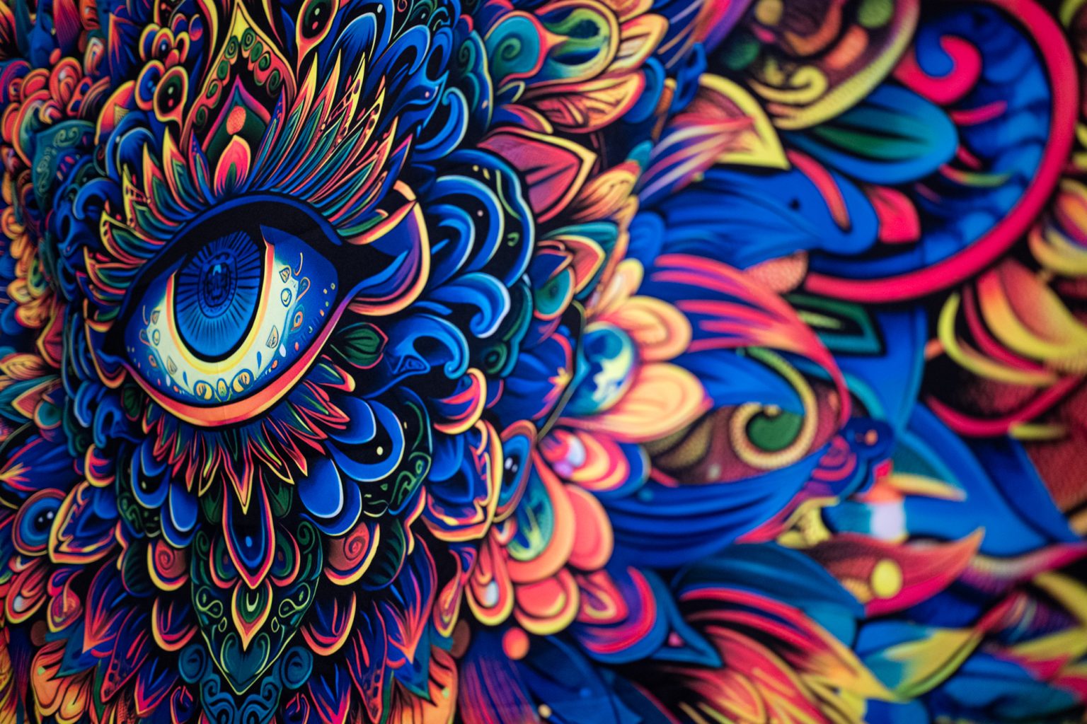 Galeria zdjęć 2000px wykonana obiektywem TTArtisan AF 40mm F2 ED ASPH i aparatem Panasonic S5 II