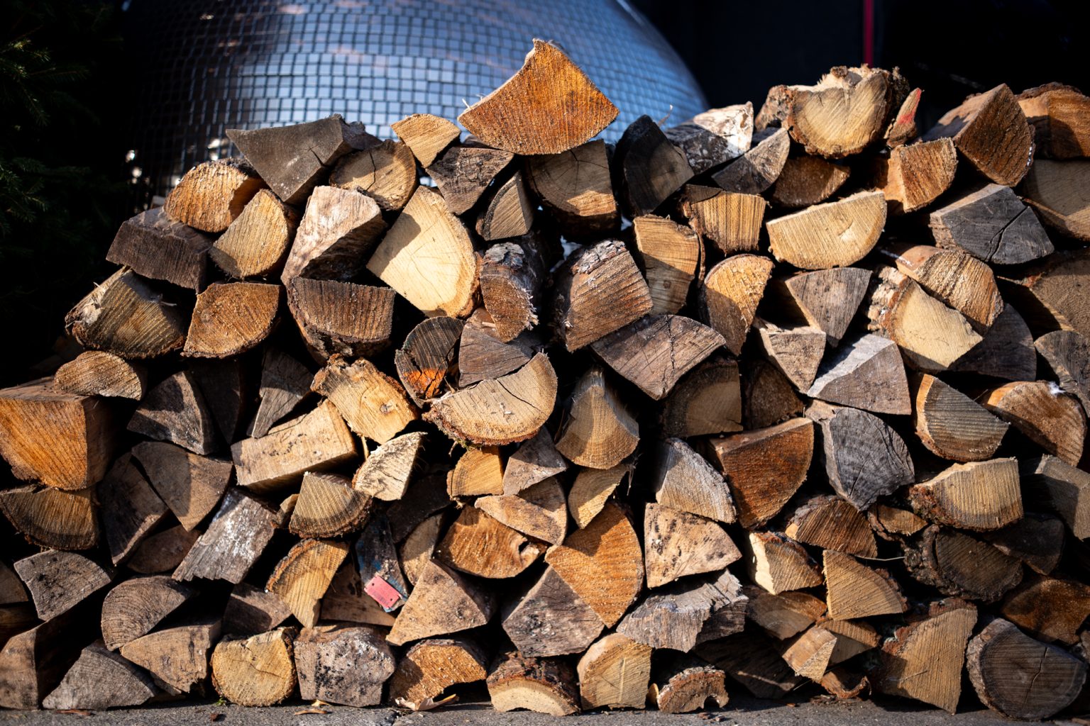 Galeria zdjęć 2000px wykonana obiektywem TTArtisan AF 40mm F2 ED ASPH i aparatem Panasonic S5 II