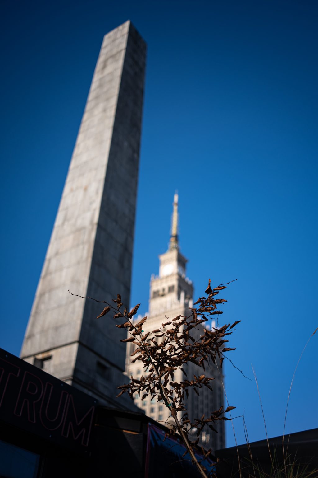 Galeria zdjęć 2000px wykonana obiektywem TTArtisan AF 40mm F2 ED ASPH i aparatem Panasonic S5 II