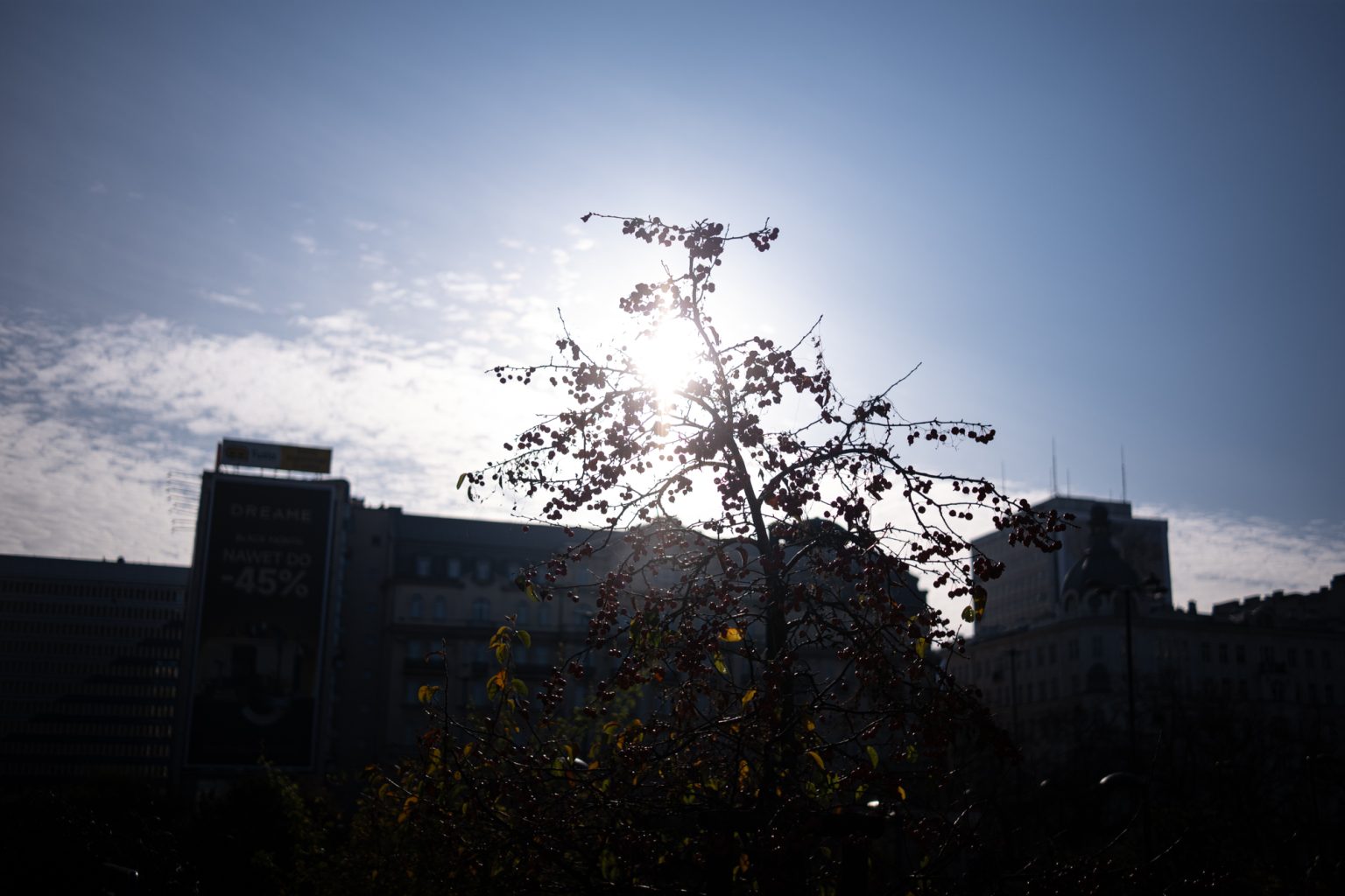 Galeria zdjęć 2000px wykonana obiektywem TTArtisan AF 40mm F2 ED ASPH i aparatem Panasonic S5 II