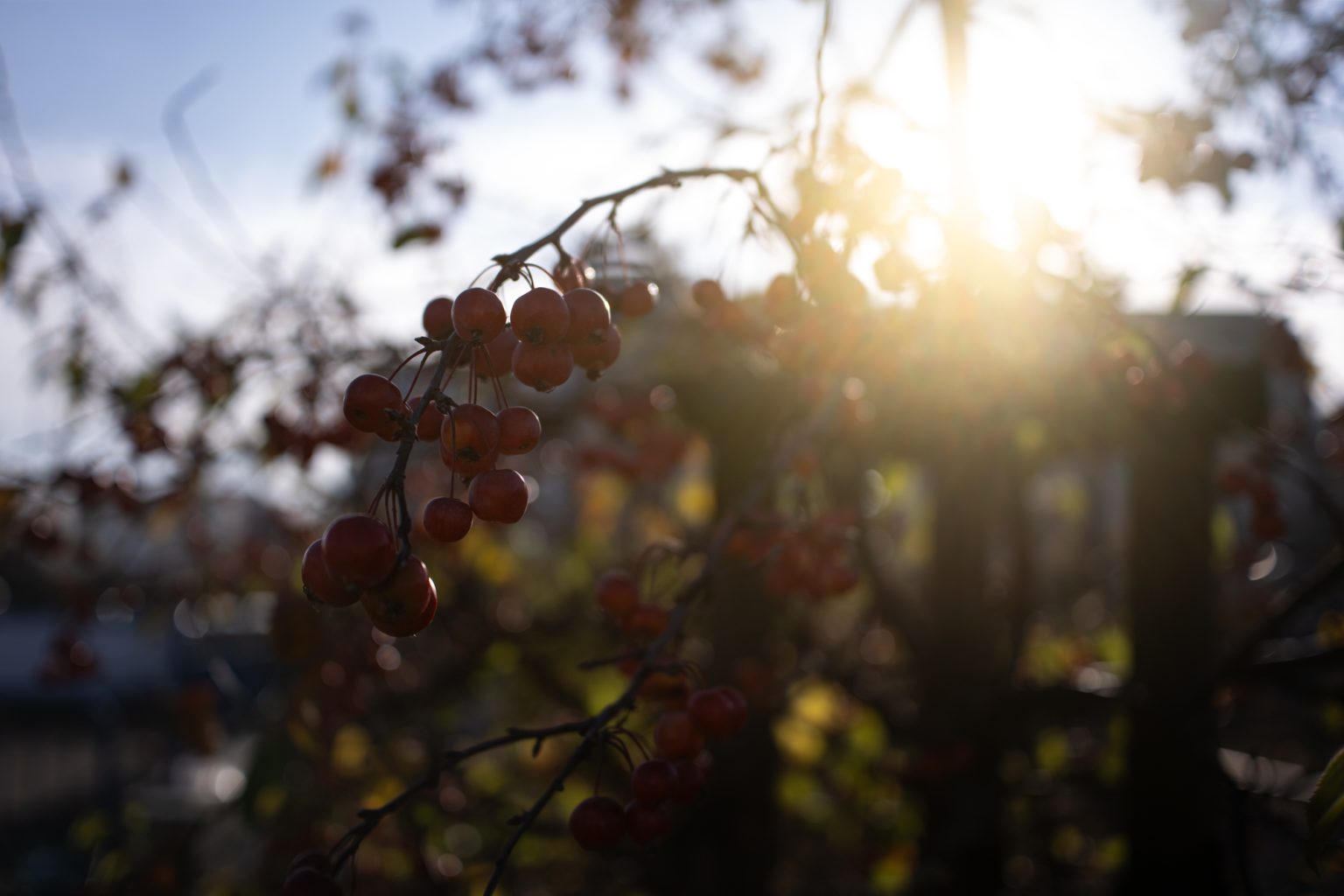 Galeria zdjęć 2000px wykonana obiektywem TTArtisan AF 40mm F2 ED ASPH i aparatem Panasonic S5 II