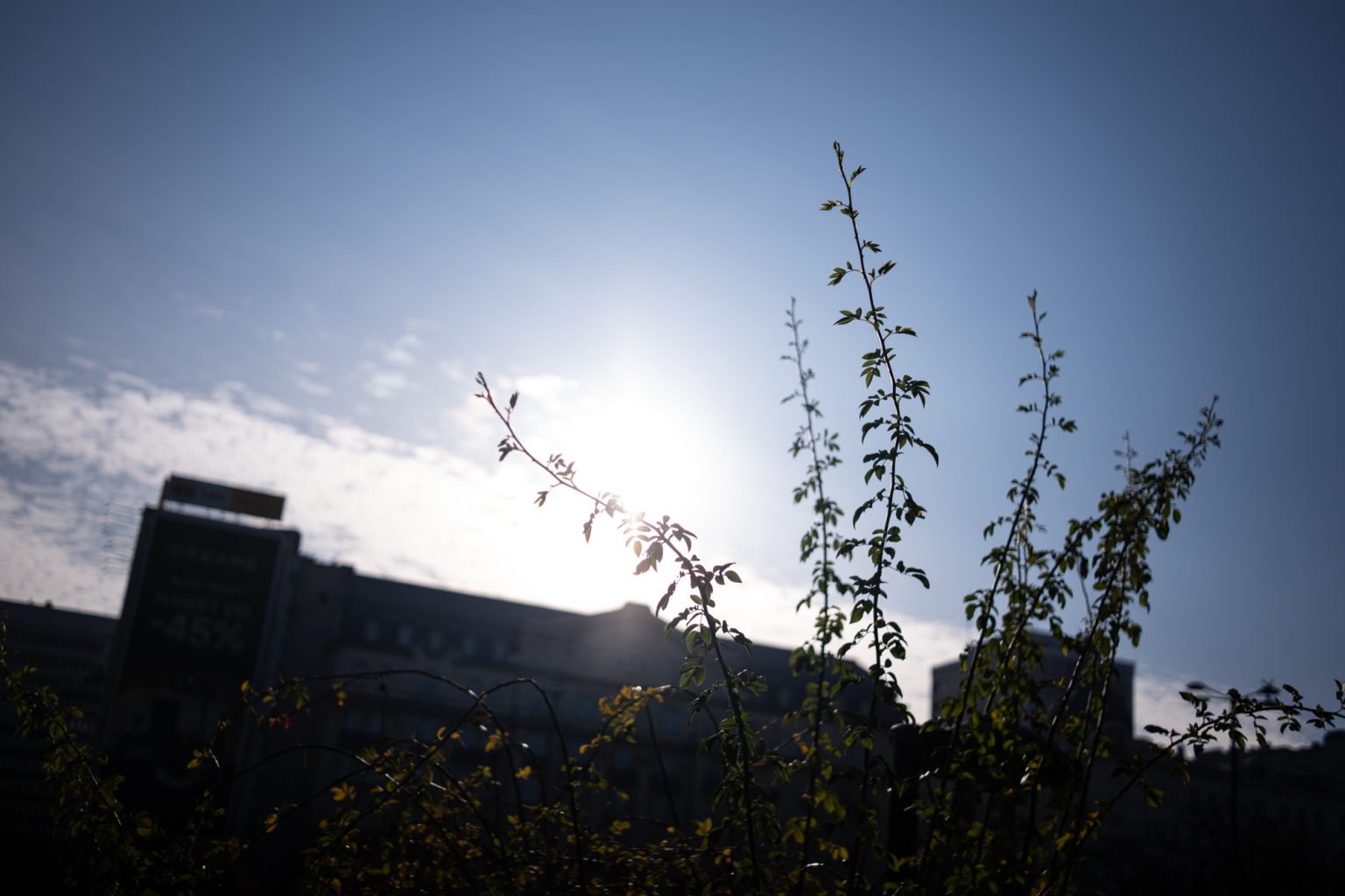 Galeria zdjęć 2000px wykonana obiektywem TTArtisan AF 40mm F2 ED ASPH i aparatem Panasonic S5 II