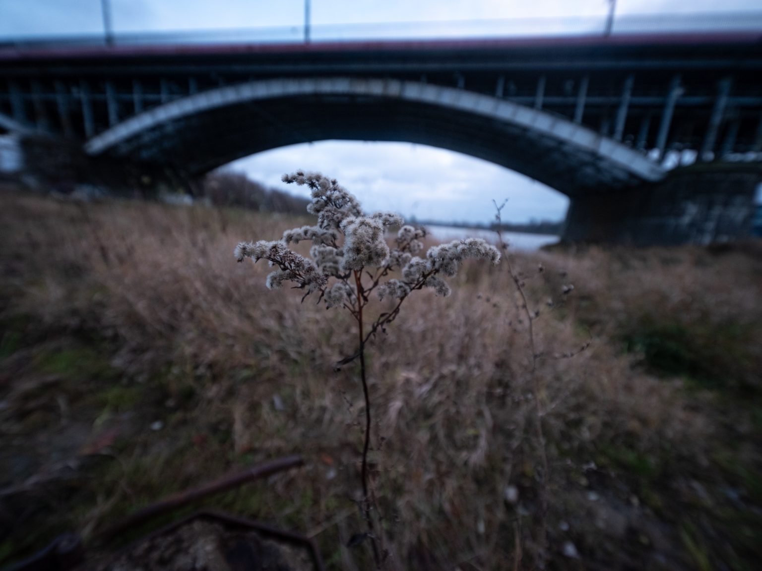 TTArtisan Tilt Shift 17mm F4 ASPH. Fujifilm GFX 50SII 2000PX