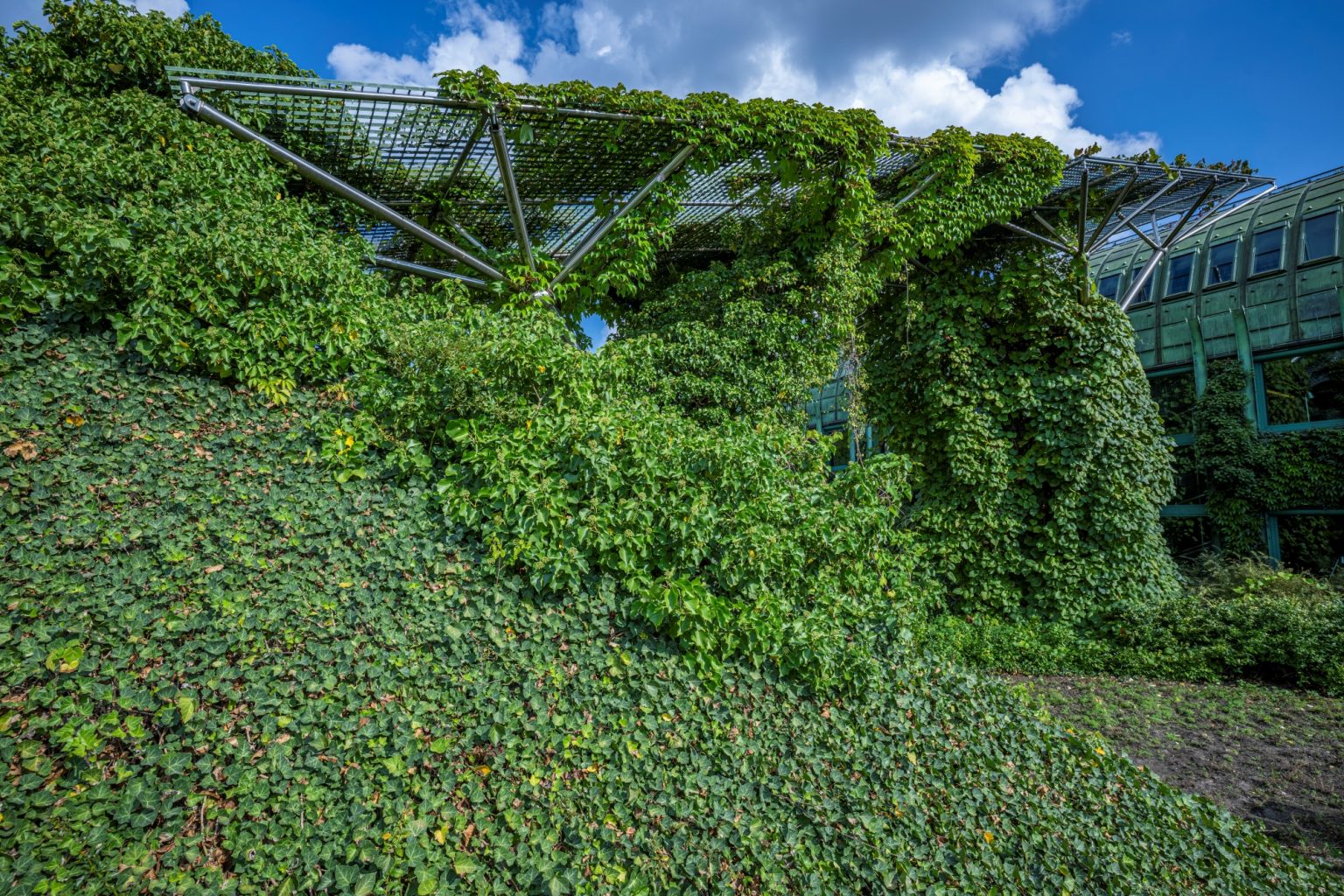 Batch nikkor z 17 28mm f2.8 nikon z9 dsc0643