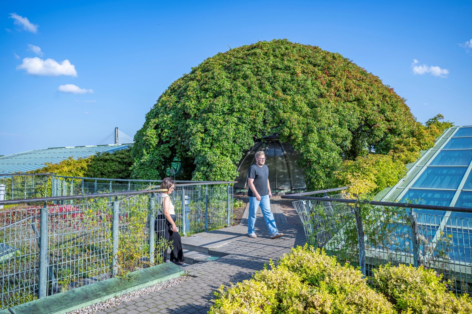 Batch nikkor z 17 28mm f2.8 nikon z9 dsc0813