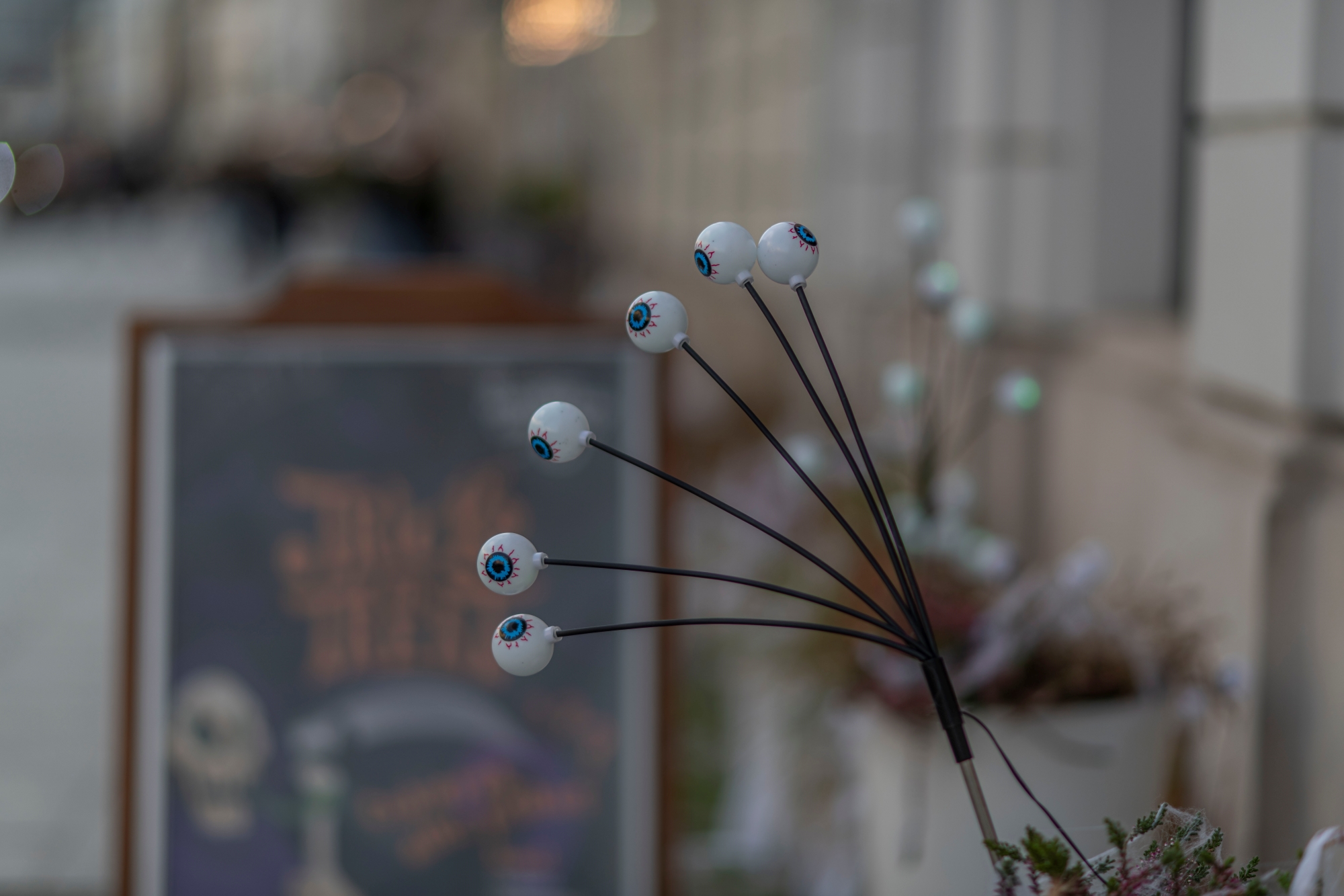 Nikon AF DC Nikkor 105mm F2D Nikon D850 dsc0224