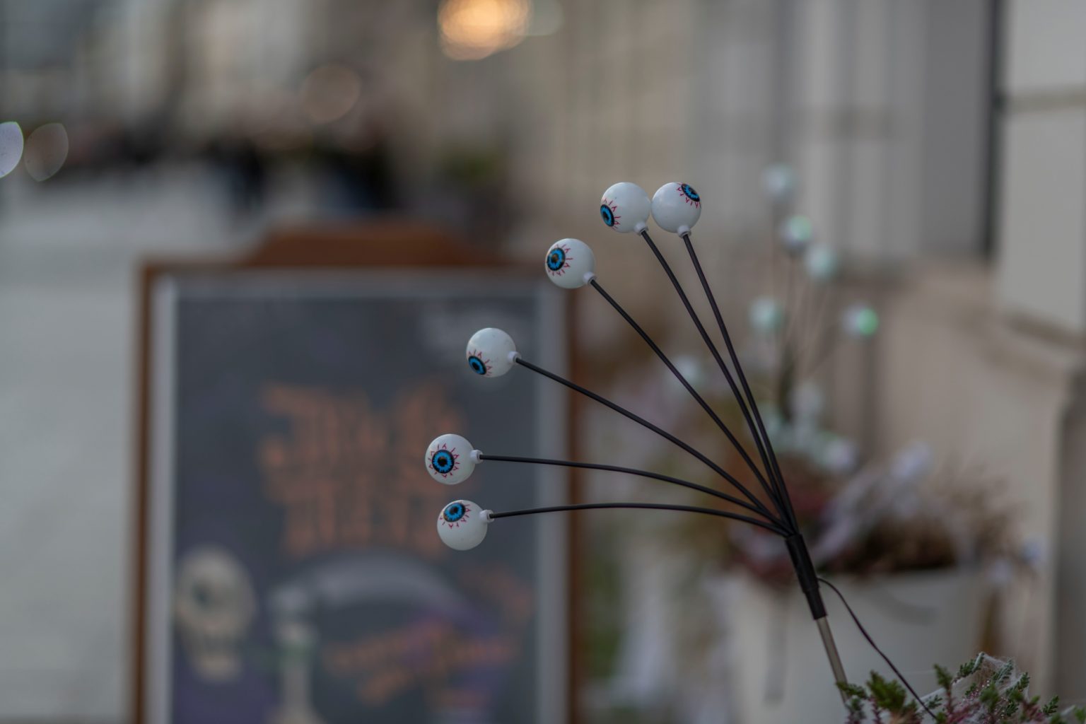 Batch Nikon AF DC Nikkor 105mm F2D Nikon D850 Dsc0225 Batch Nikon AF DC Nikkor 105mm F2D Nikon D850 dsc0225