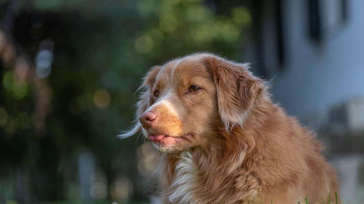 Batch Nikon D750 Tamron 90 Macro ncd1339