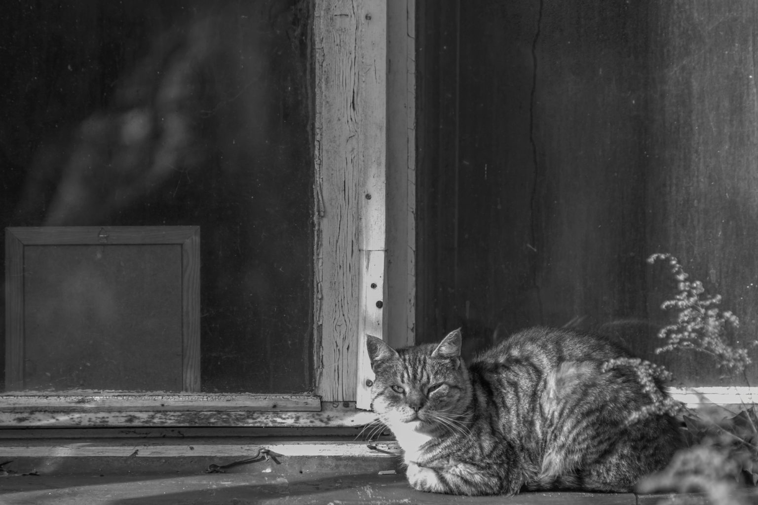 Batch Pentax K3 III Monochrome Pen5702 Batch pentax k3 iii monochrome pen5702