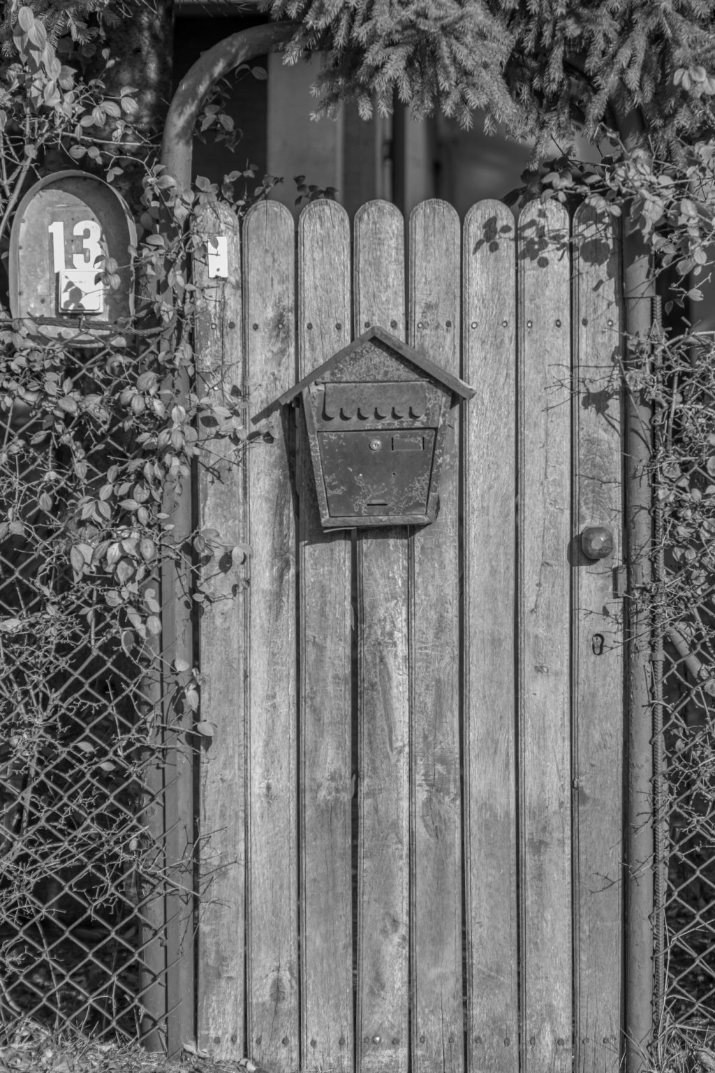 Batch Pentax K3 III Monochrome Pen5785 Batch pentax k3 iii monochrome pen5785