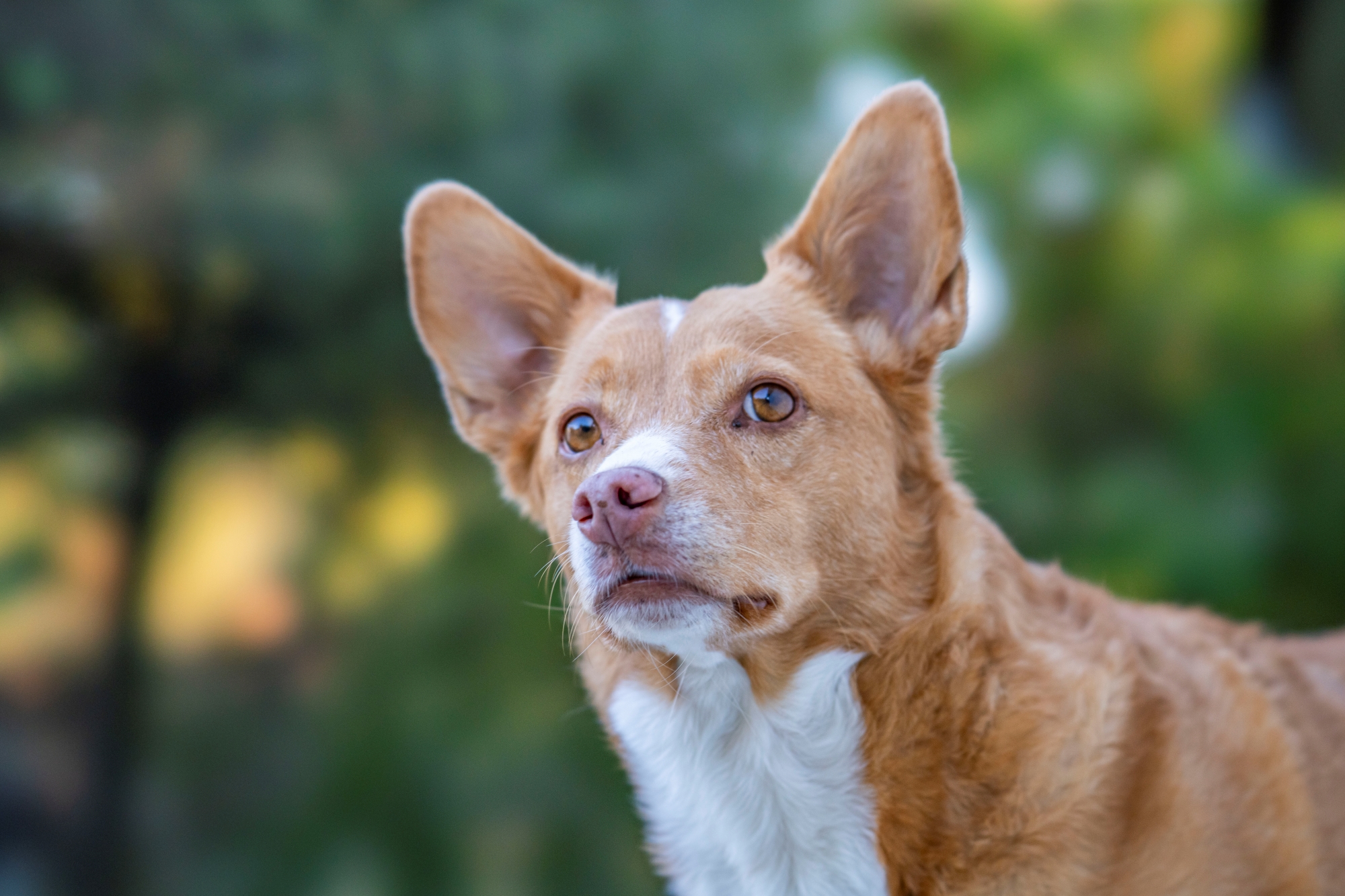 sony-fe-100mm-f2-8-stf-gm-oss-recenzja 4