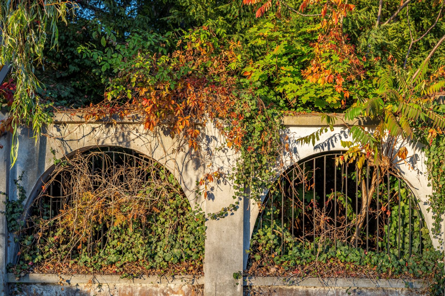 Batch Sony Sonnar55mm F1.8 ZA Dsc0986 Batch sony sonnar55mm f1.8 za dsc0986