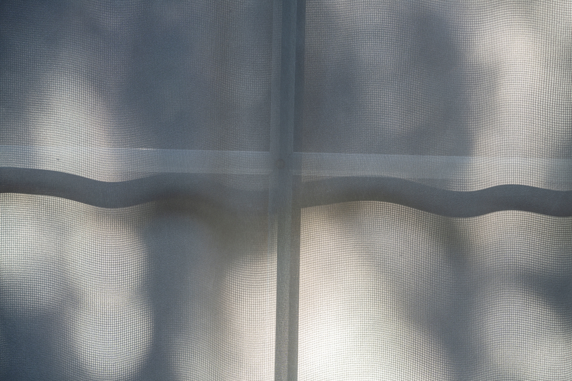 sony-fe-sonnar-55mm-f18-test-2025 3