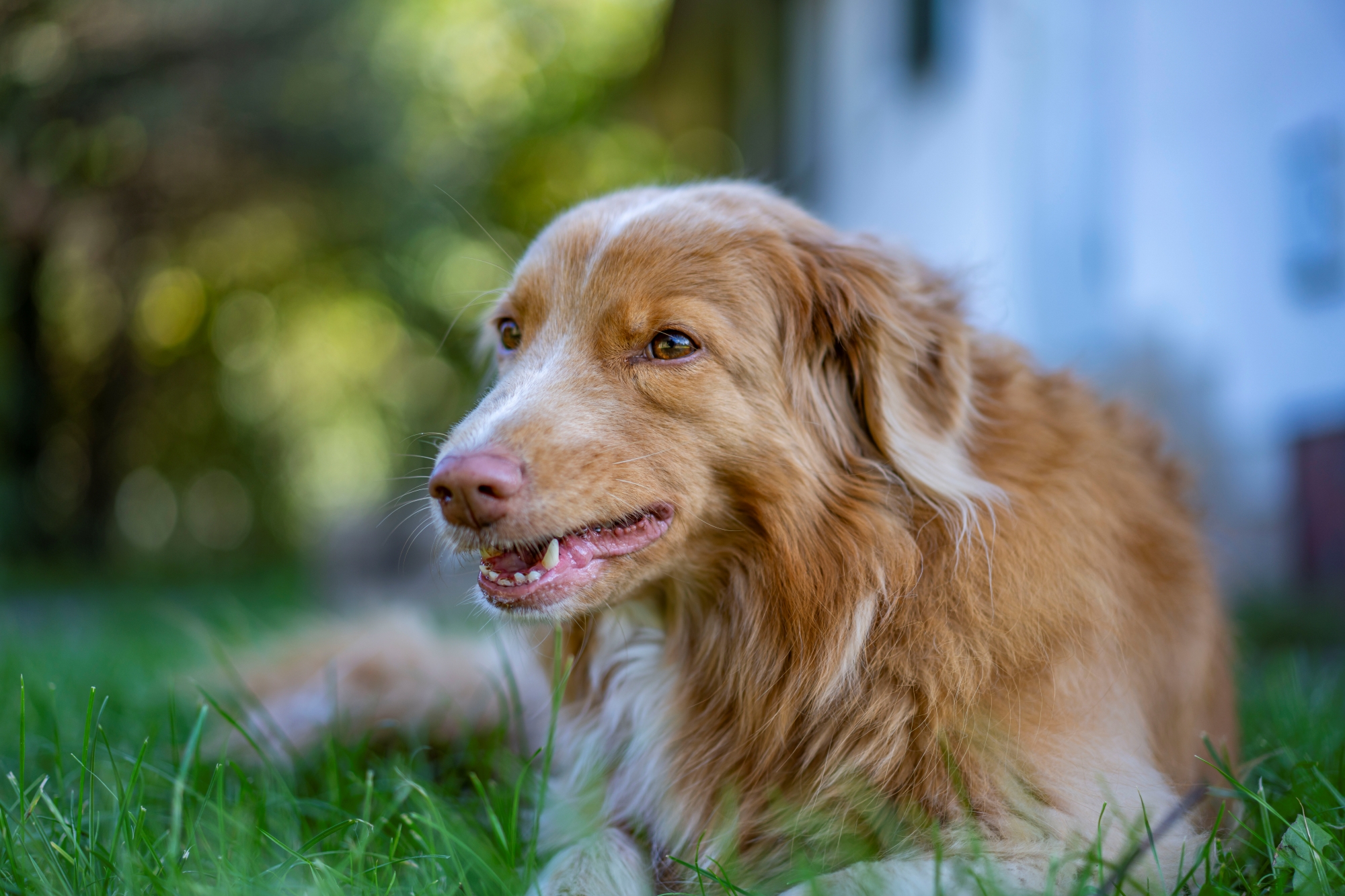 sony-fe-sonnar-55mm-f18-test-2025 6