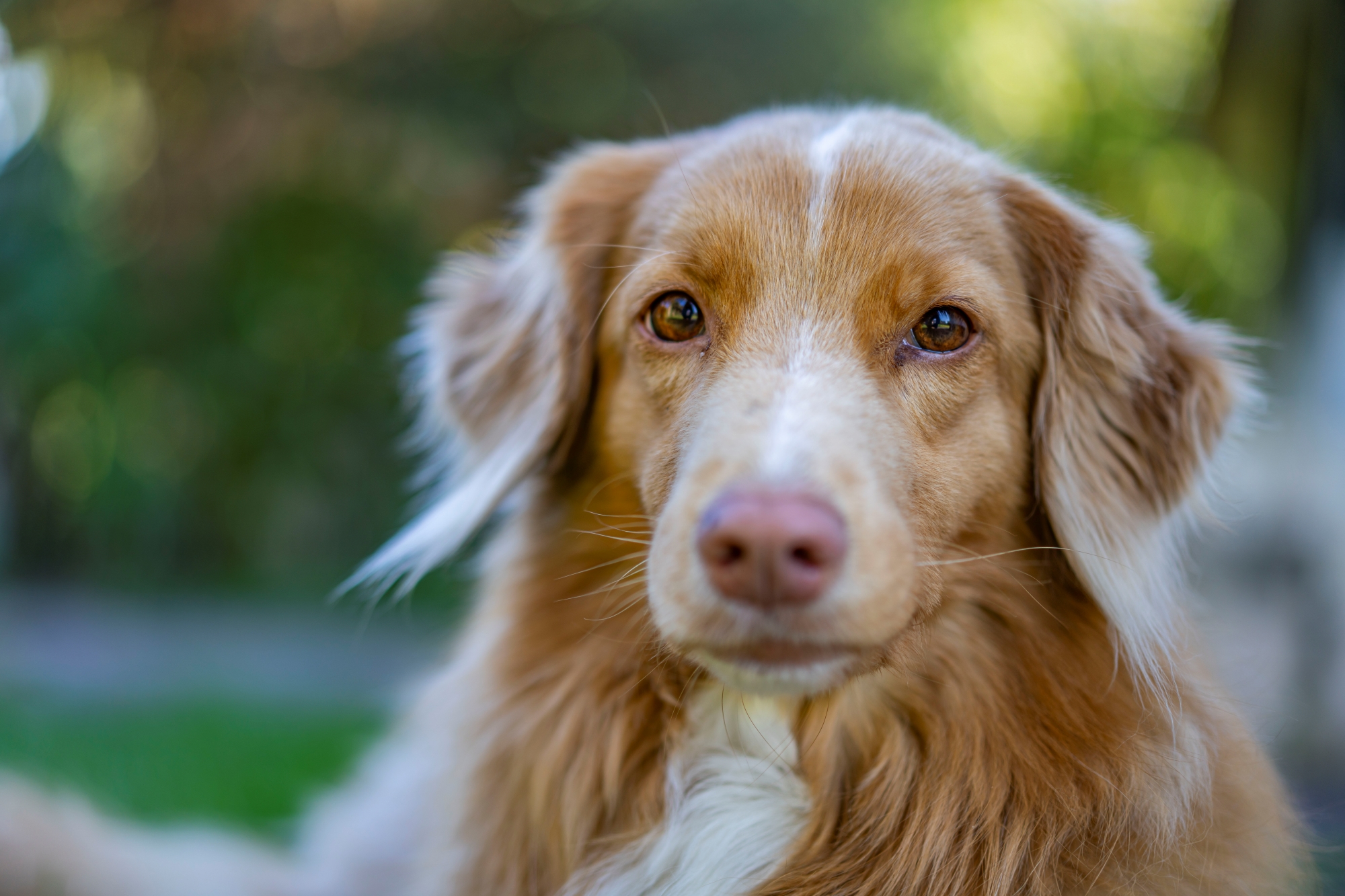 sony-fe-sonnar-55mm-f18-test-2025 7