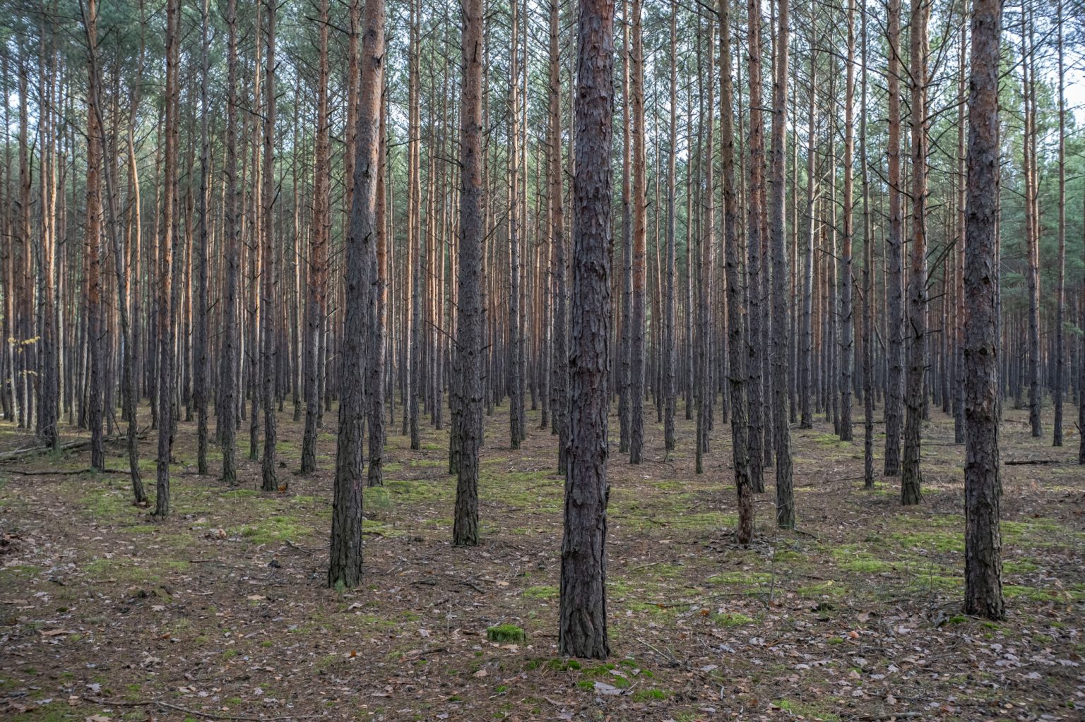 Batch TTArtisan AF 23mm F1.8 ED Nikon Z9 Dsc 2011 Batch TTArtisan AF 23mm F1.8 ED Nikon Z9 dsc