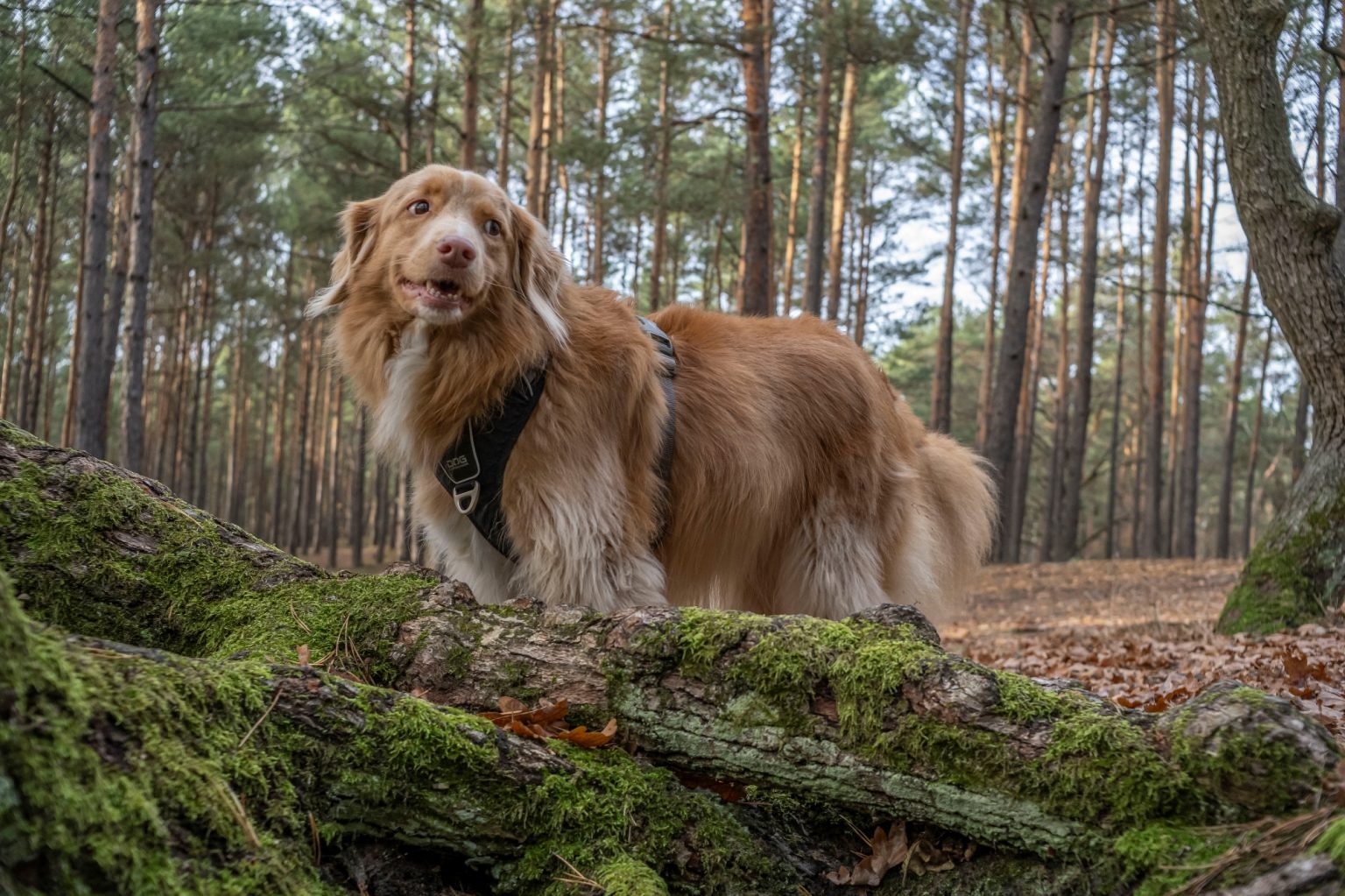 Batch TTArtisan AF 23mm F1.8 ED Nikon Z9 Dsc 2420 Batch TTArtisan AF 23mm F1.8 ED Nikon Z9 dsc