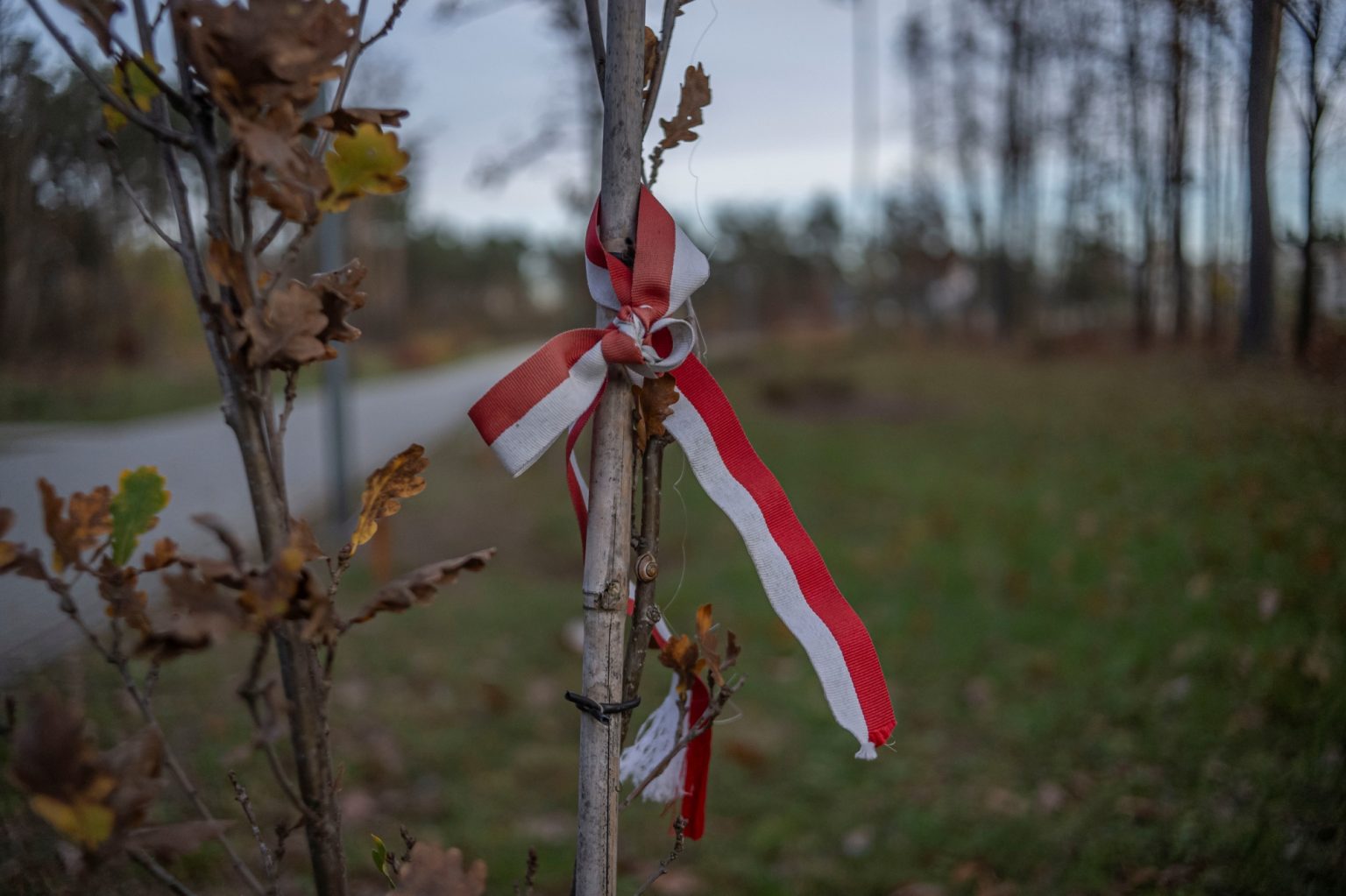 Batch TTArtisan AF 23mm F1.8 ED Nikon Z9 Dsc 2551 Batch TTArtisan AF 23mm F1.8 ED Nikon Z9 dsc