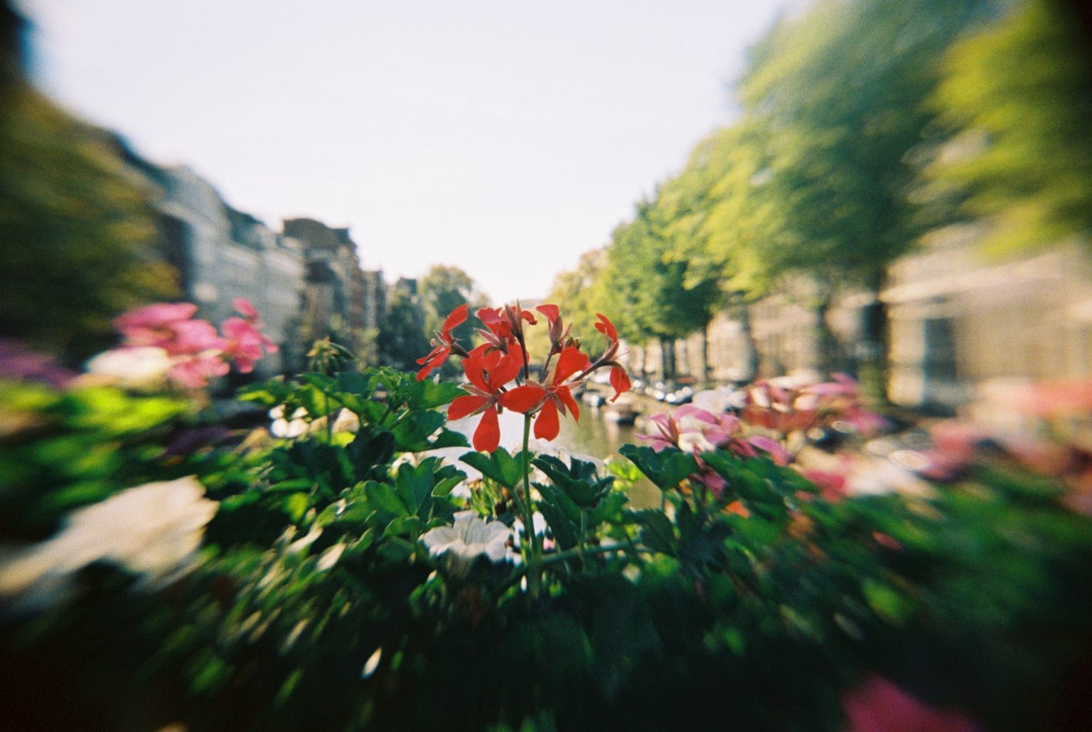 Ilford Camera Pixie Ilford Camera Pixie