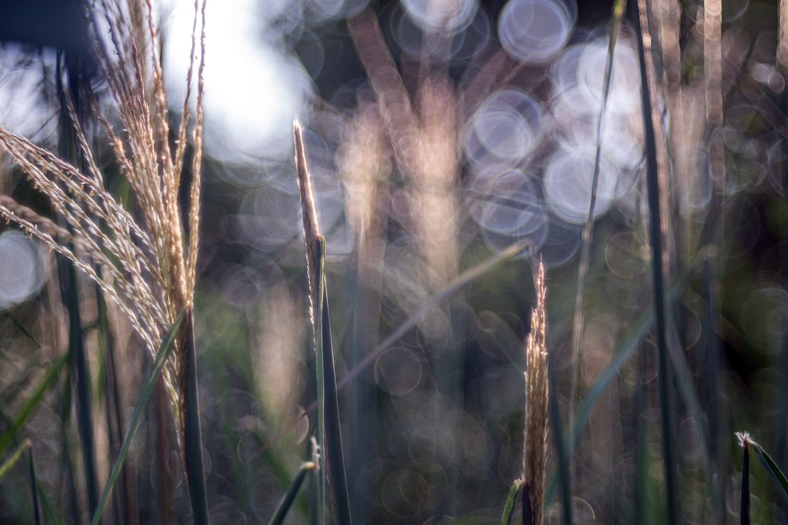 Galeria wybranych zdjęć od InterFoto.eu Galeria wybranych zdjęć od InterFoto.eu