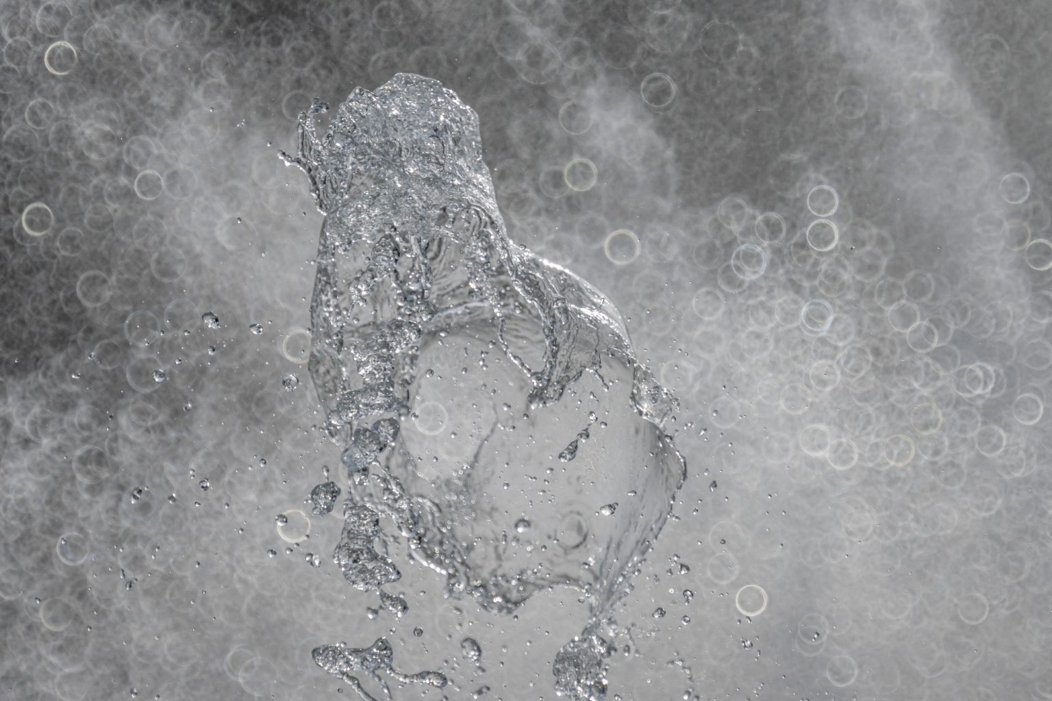 Galeria wybranych zdjęć od InterFoto.eu Galeria wybranych zdjęć od InterFoto.eu