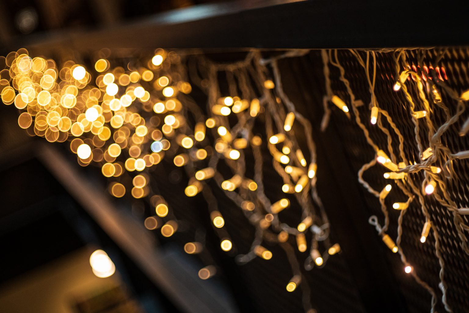 Galeria wybranych zdjęć od InterFoto.eu Galeria wybranych zdjęć od InterFoto.eu