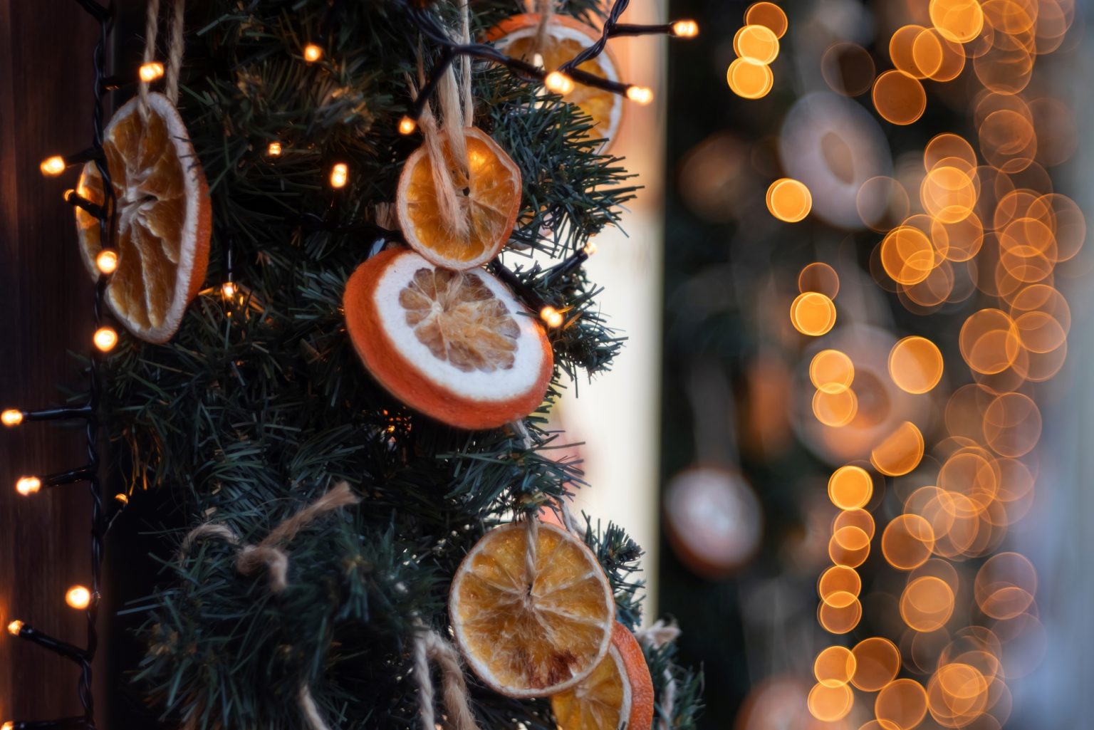 Galeria wybranych zdjęć od InterFoto.eu Galeria wybranych zdjęć od InterFoto.eu