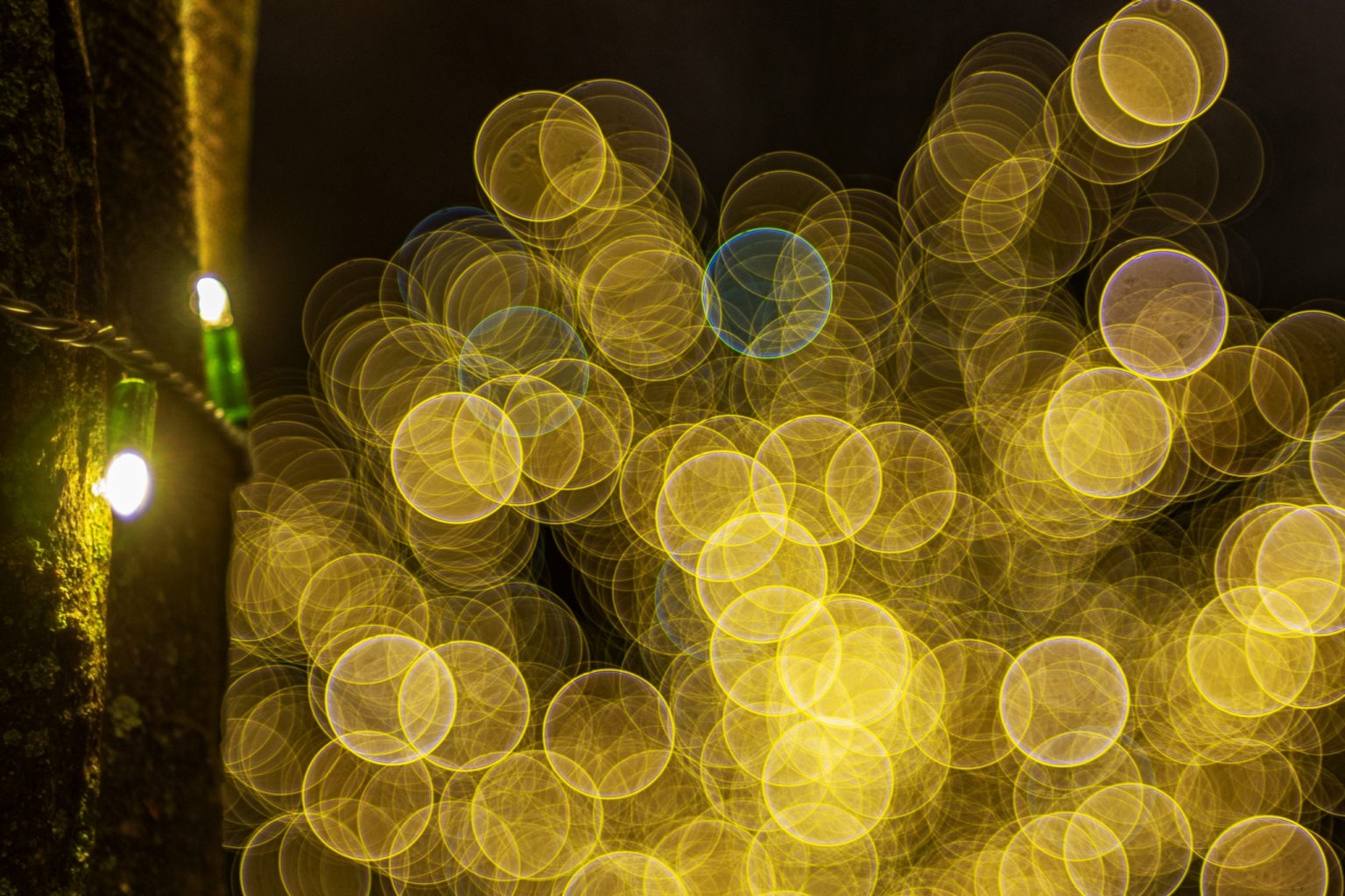 Galeria wybranych zdjęć od InterFoto.eu Galeria wybranych zdjęć od InterFoto.eu