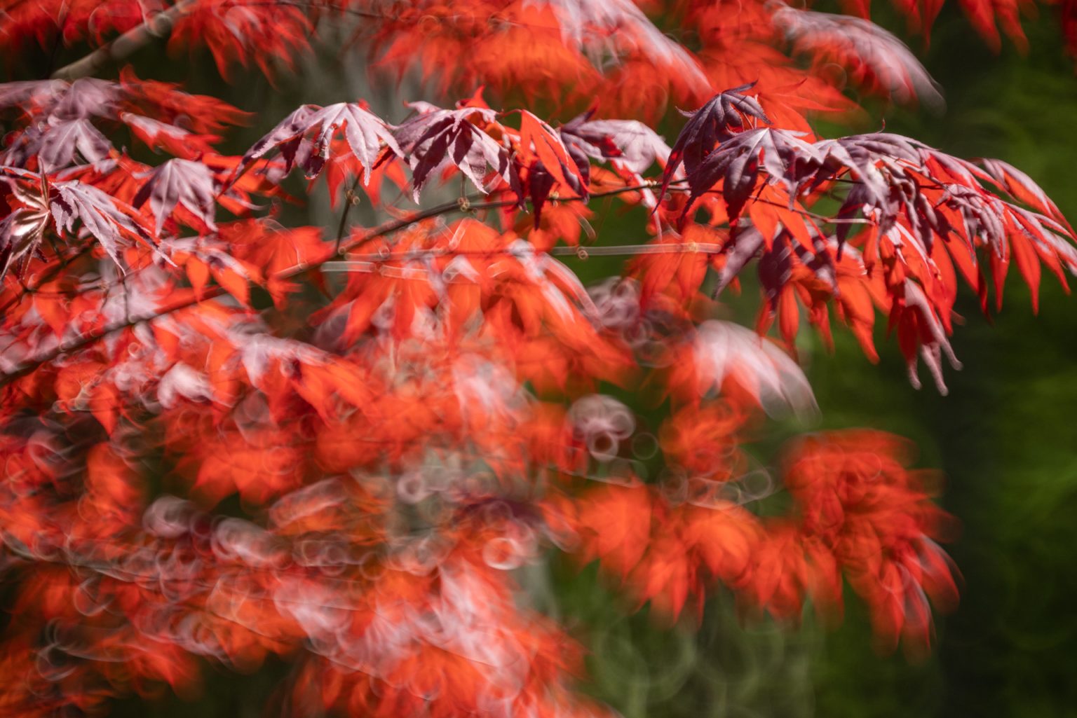 Galeria wybranych zdjęć od InterFoto.eu Galeria wybranych zdjęć od InterFoto.eu