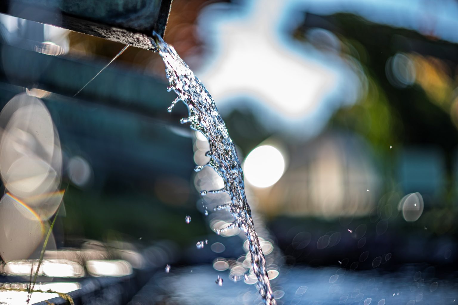 Galeria wybranych zdjęć od InterFoto.eu Galeria wybranych zdjęć od InterFoto.eu