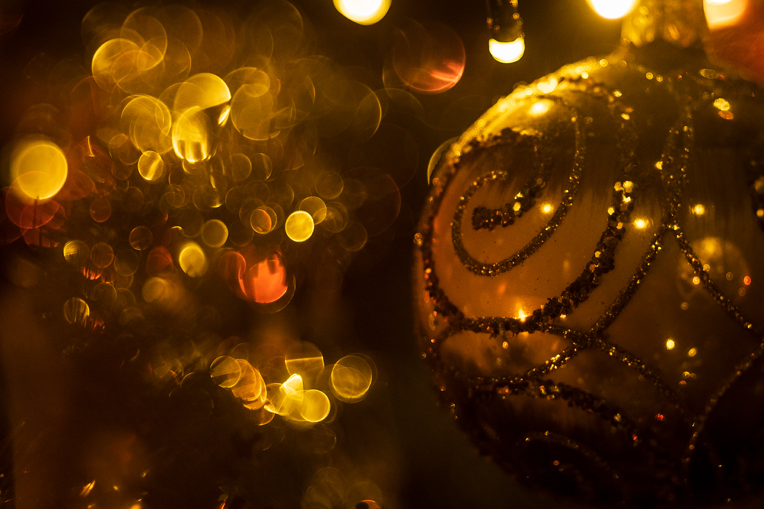 Galeria wybranych zdjęć od InterFoto.eu Galeria wybranych zdjęć od InterFoto.eu