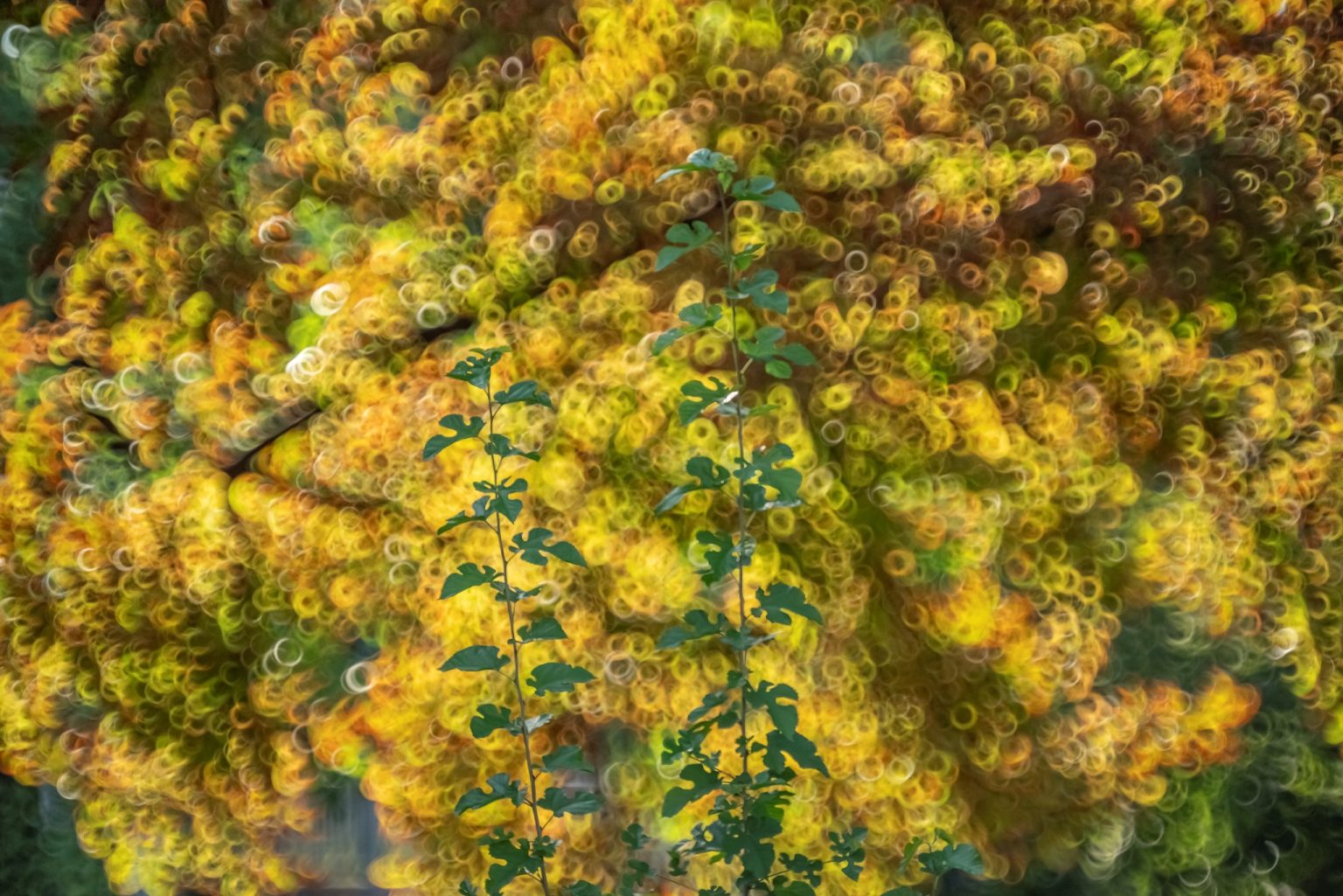 Galeria wybranych zdjęć od InterFoto.eu Galeria wybranych zdjęć od InterFoto.eu