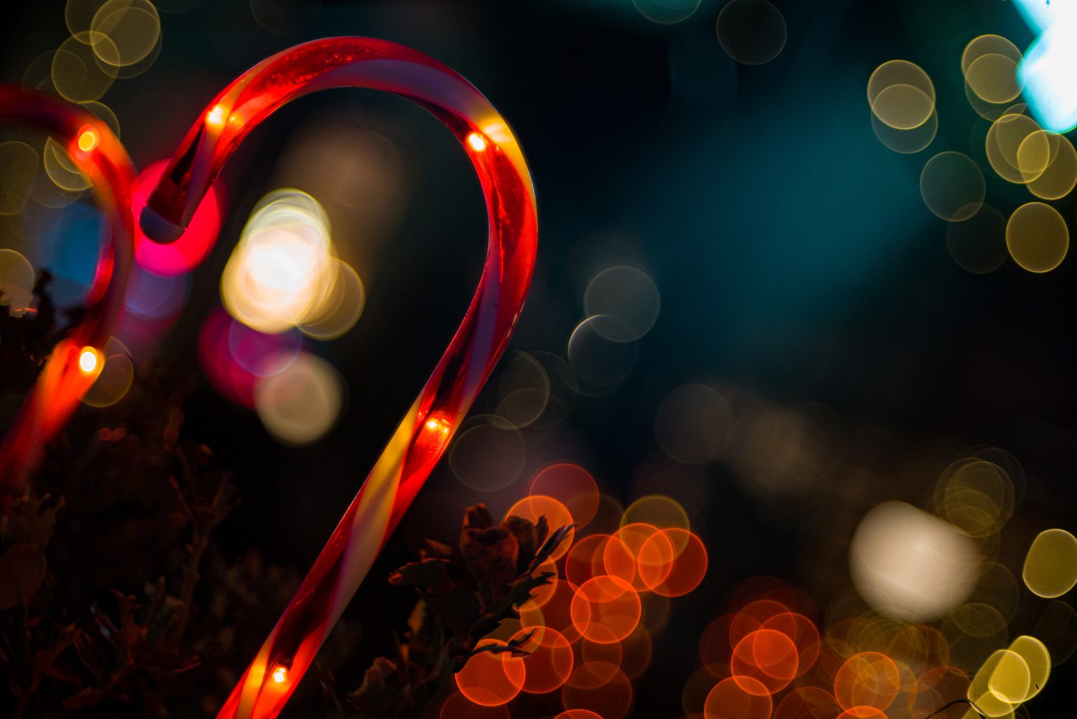 Galeria wybranych zdjęć od InterFoto.eu Galeria wybranych zdjęć od InterFoto.eu