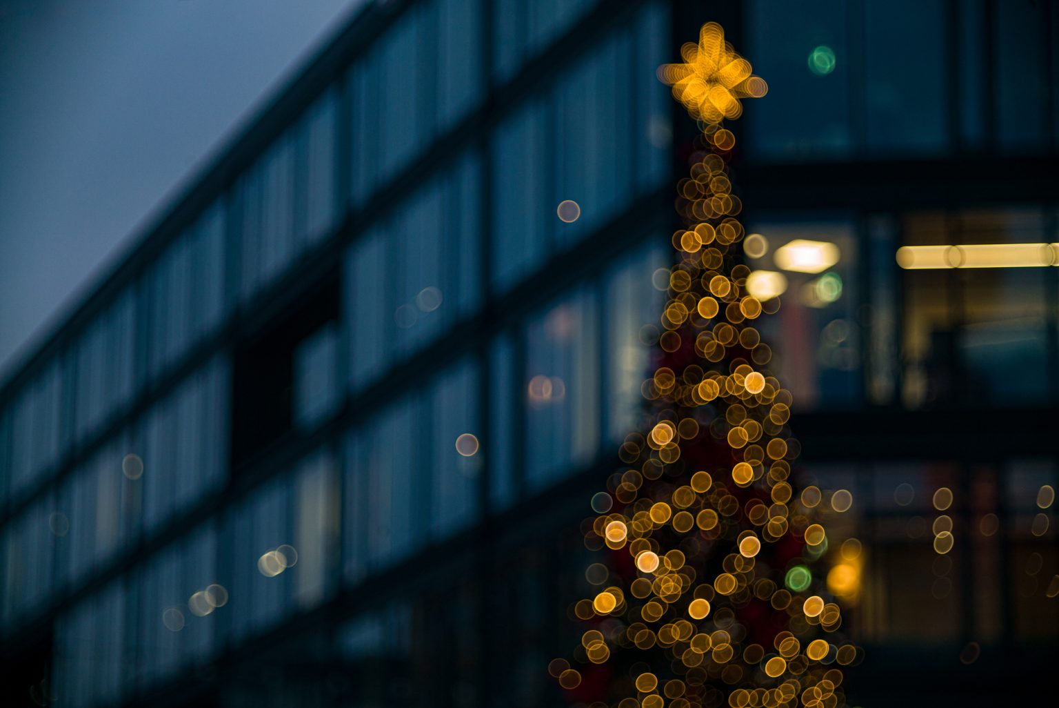 Galeria wybranych zdjęć od InterFoto.eu Galeria wybranych zdjęć od InterFoto.eu