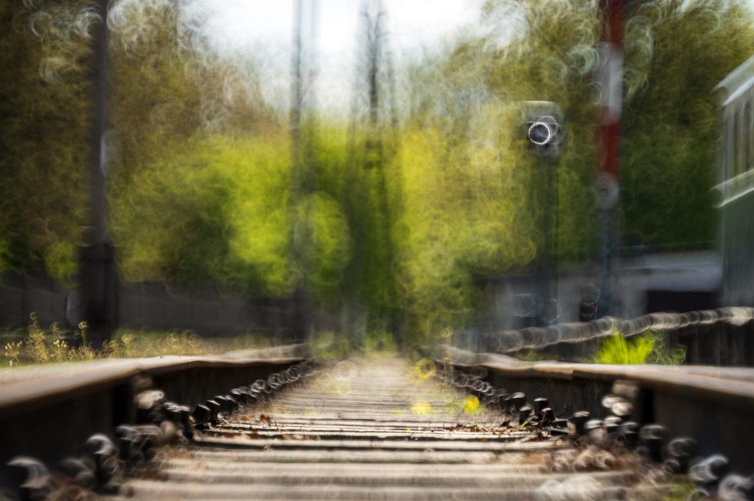 Galeria wybranych zdjęć od InterFoto.eu Galeria wybranych zdjęć od InterFoto.eu